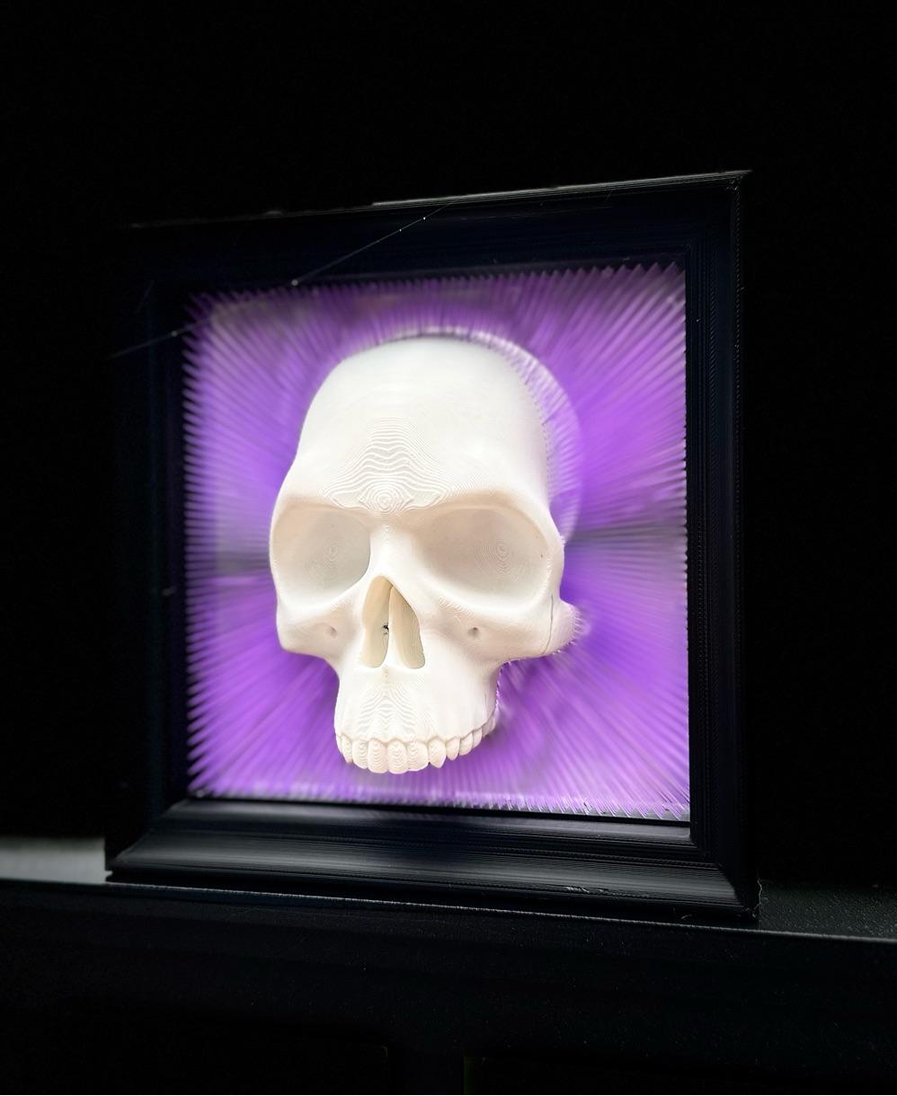 Framed Skull Tensegrity Skull Box - V2 with wall hanging, and frame 3d model