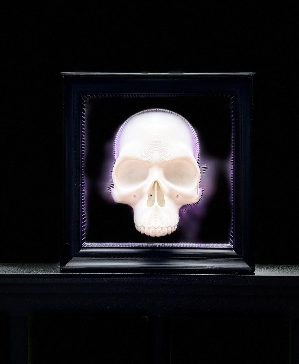 Framed Skull Tensegrity Skull Box - V2 with wall hanging, and frame 3d model