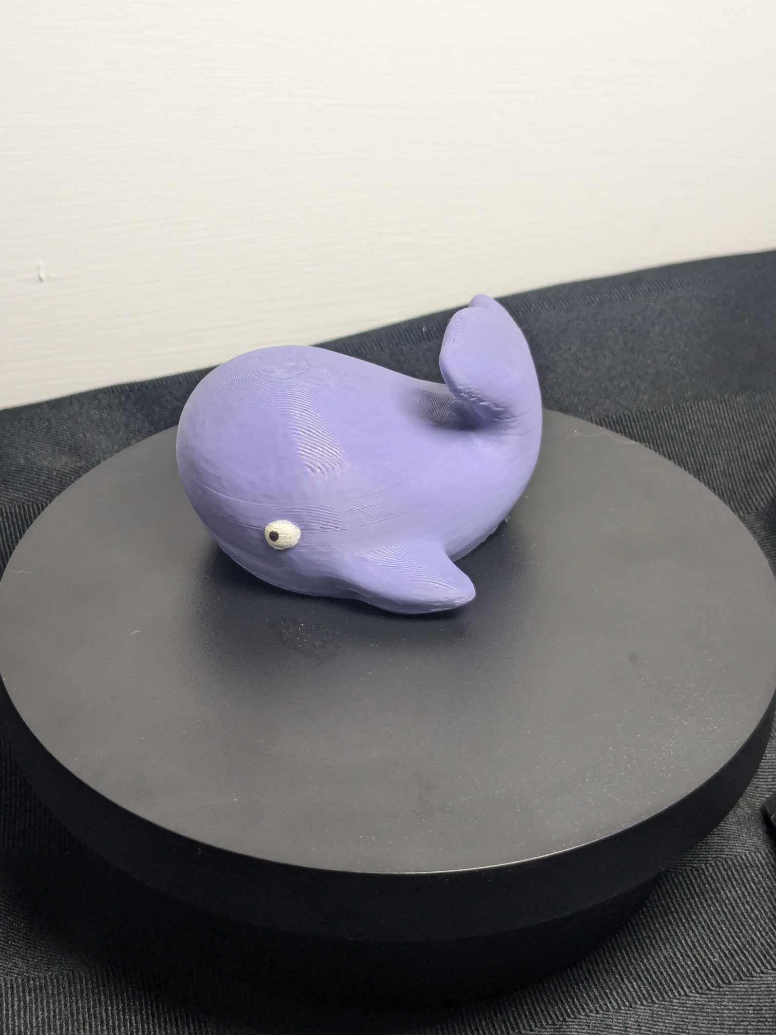 Willy The Whale 3d model