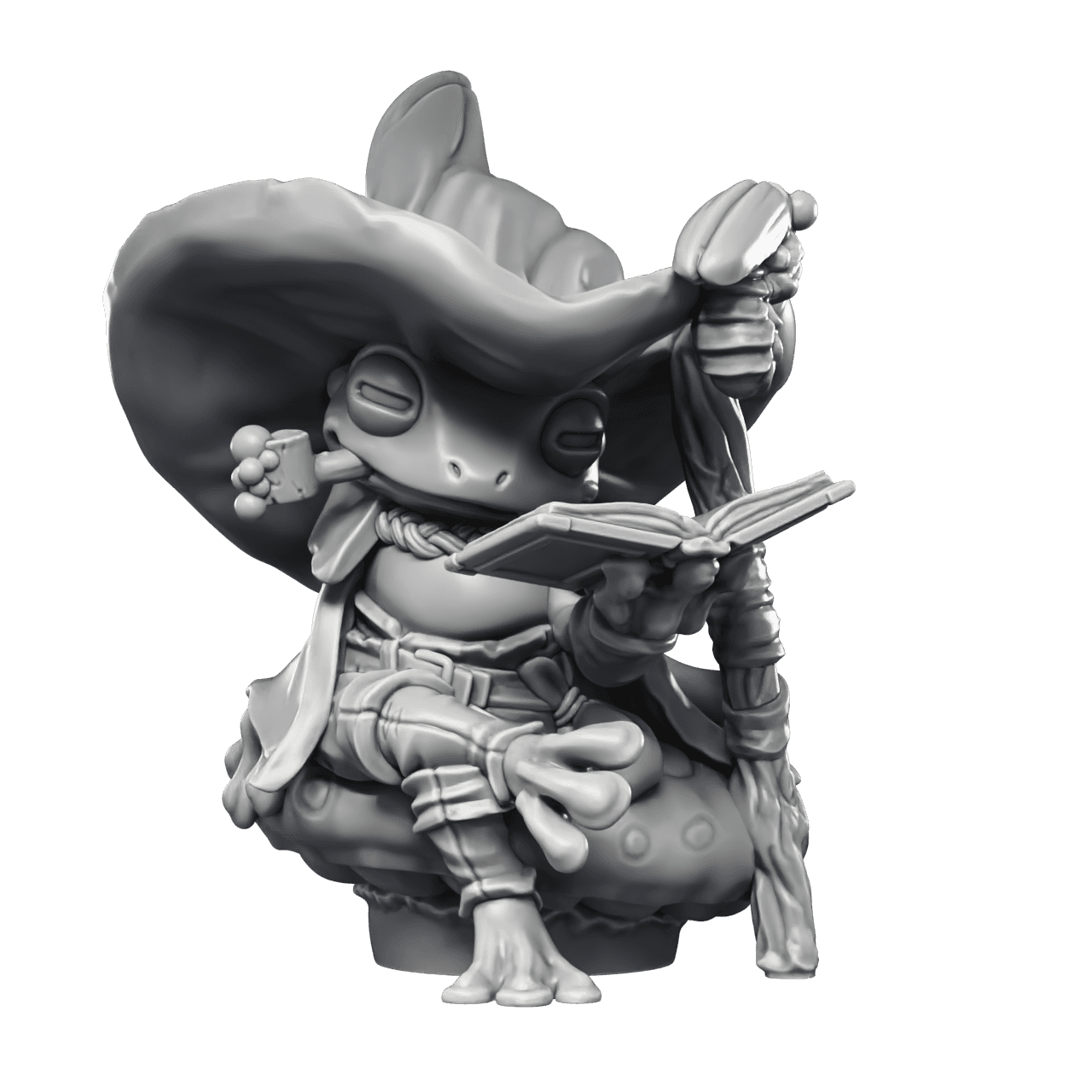 Frog Mage 3d model