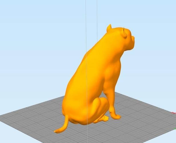 Dog Behaved 3d model