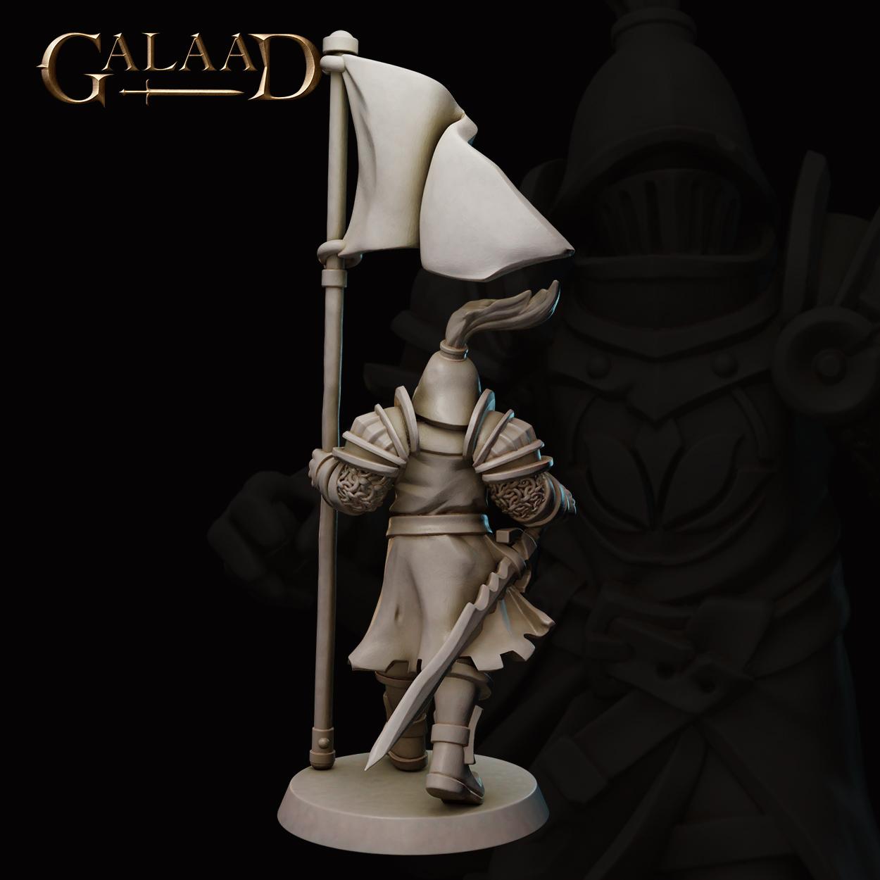 Queen's Knight Banner 3d model