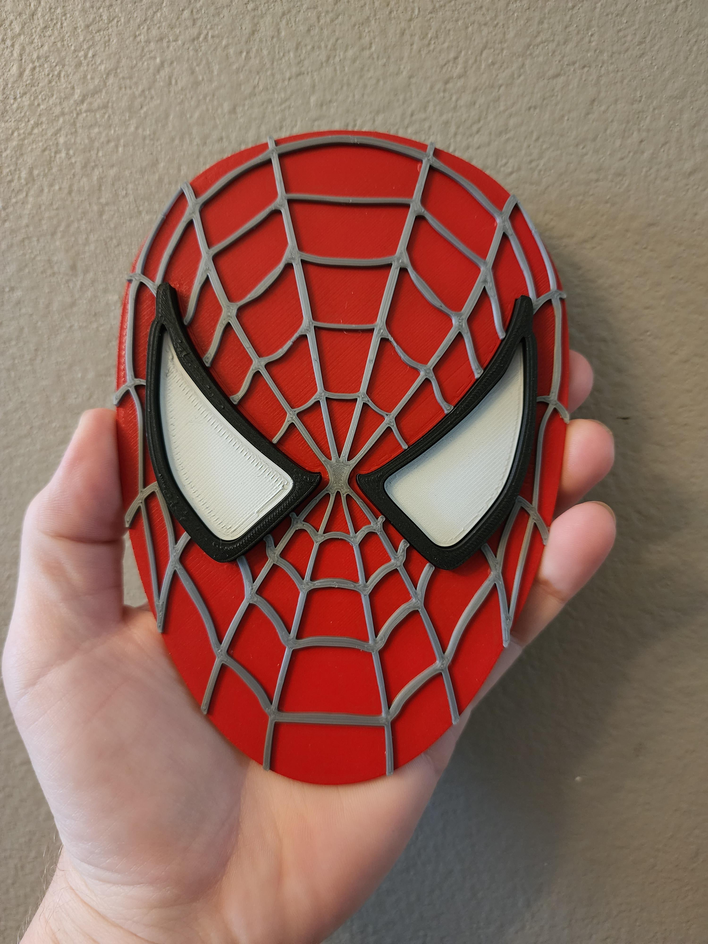 Tobey-Spider-Complete.3mf 3d model