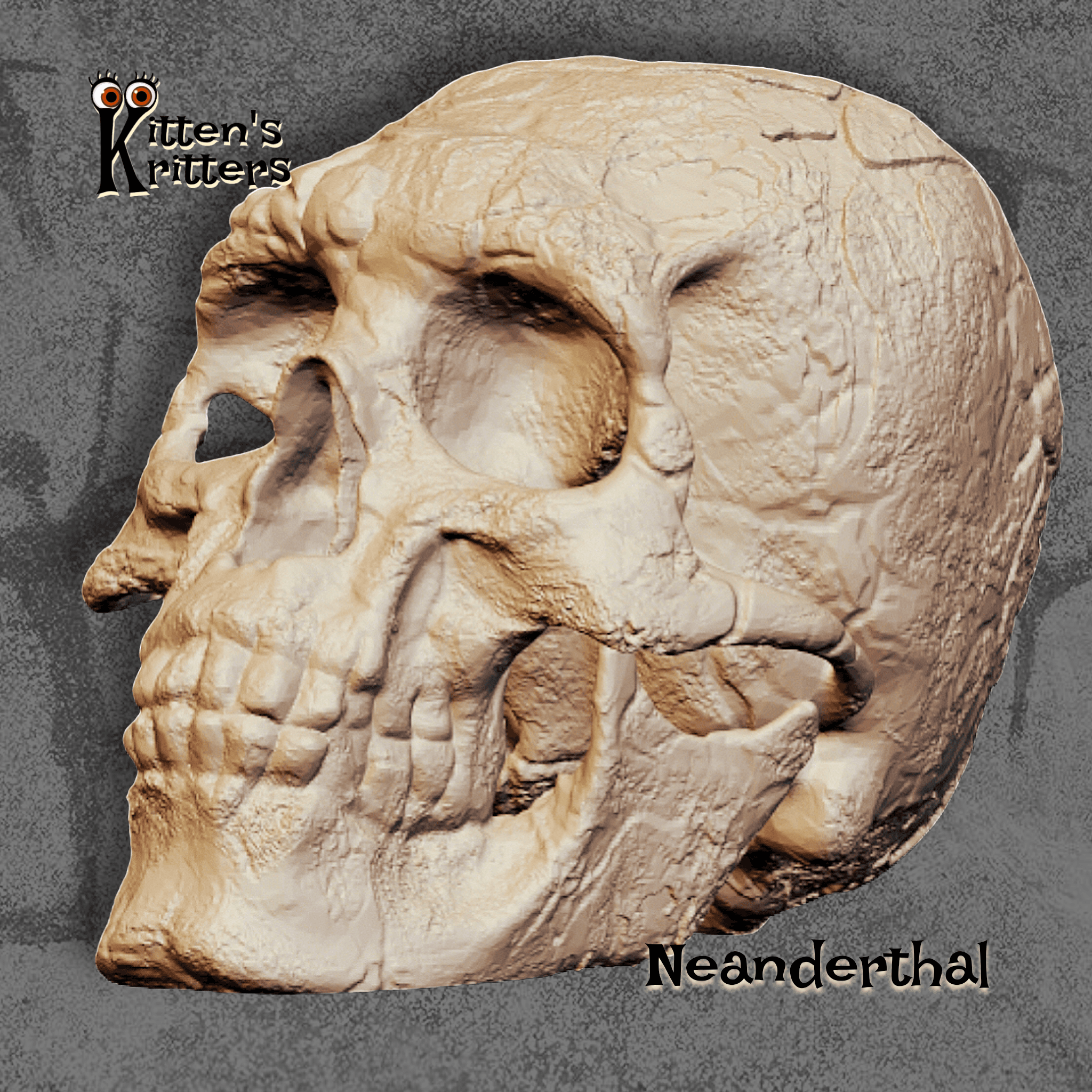 Realistic Neanderthal Skull Halloween Decor 3d model