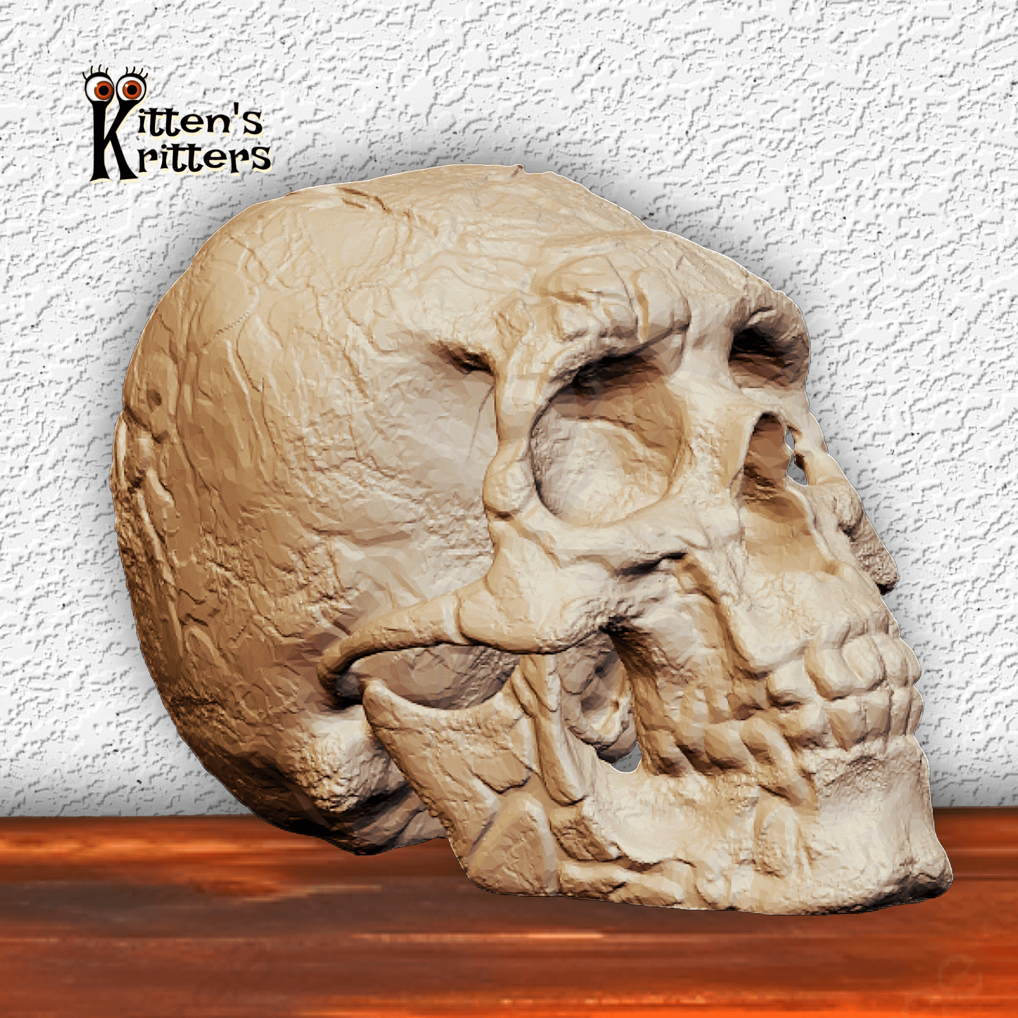 Realistic Neanderthal Skull Halloween Decor 3d model