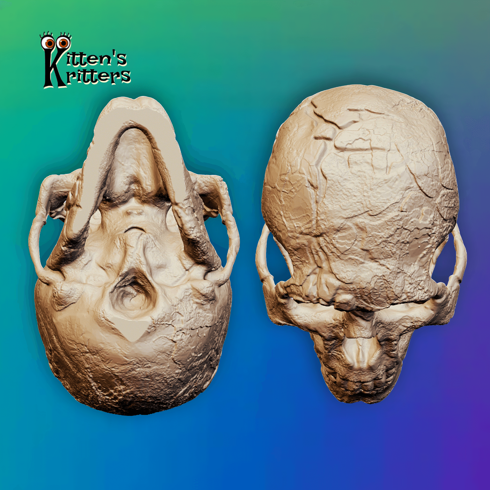 Realistic Neanderthal Skull Halloween Decor 3d model