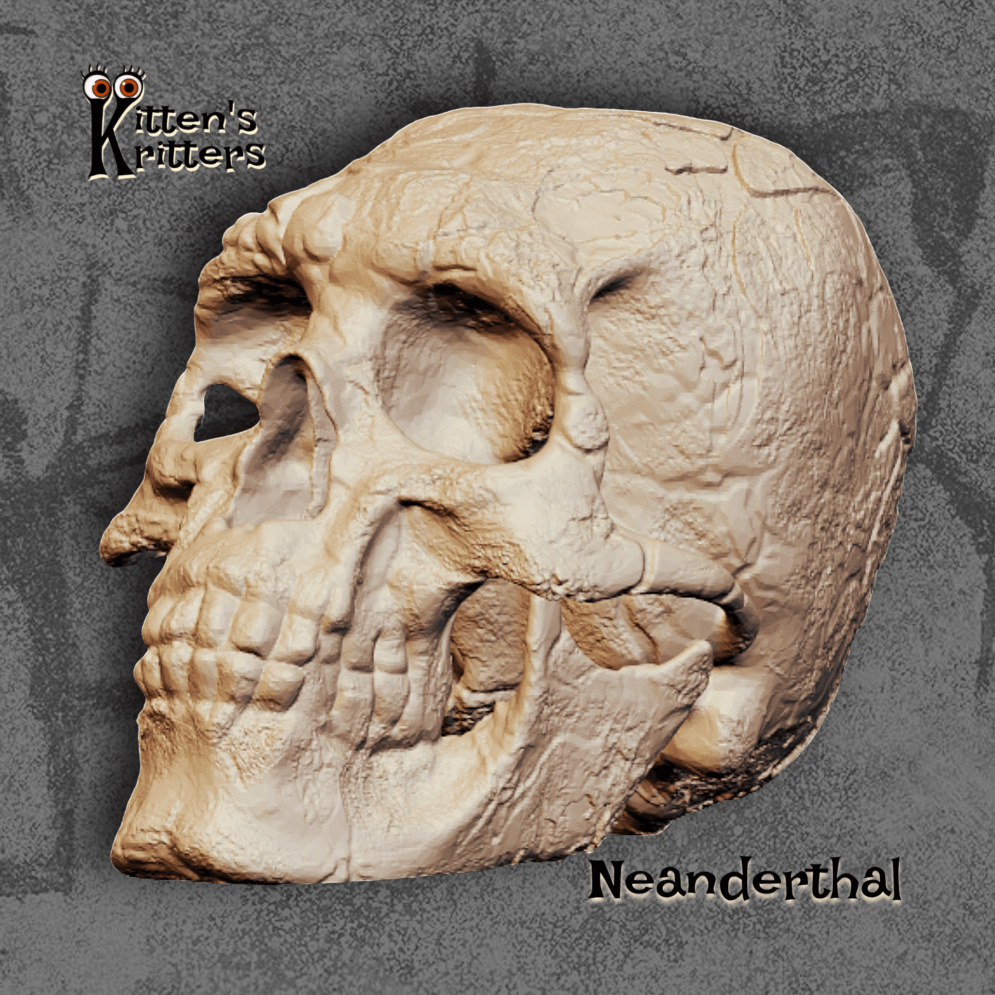 Realistic Neanderthal Skull Halloween Decor 3d model