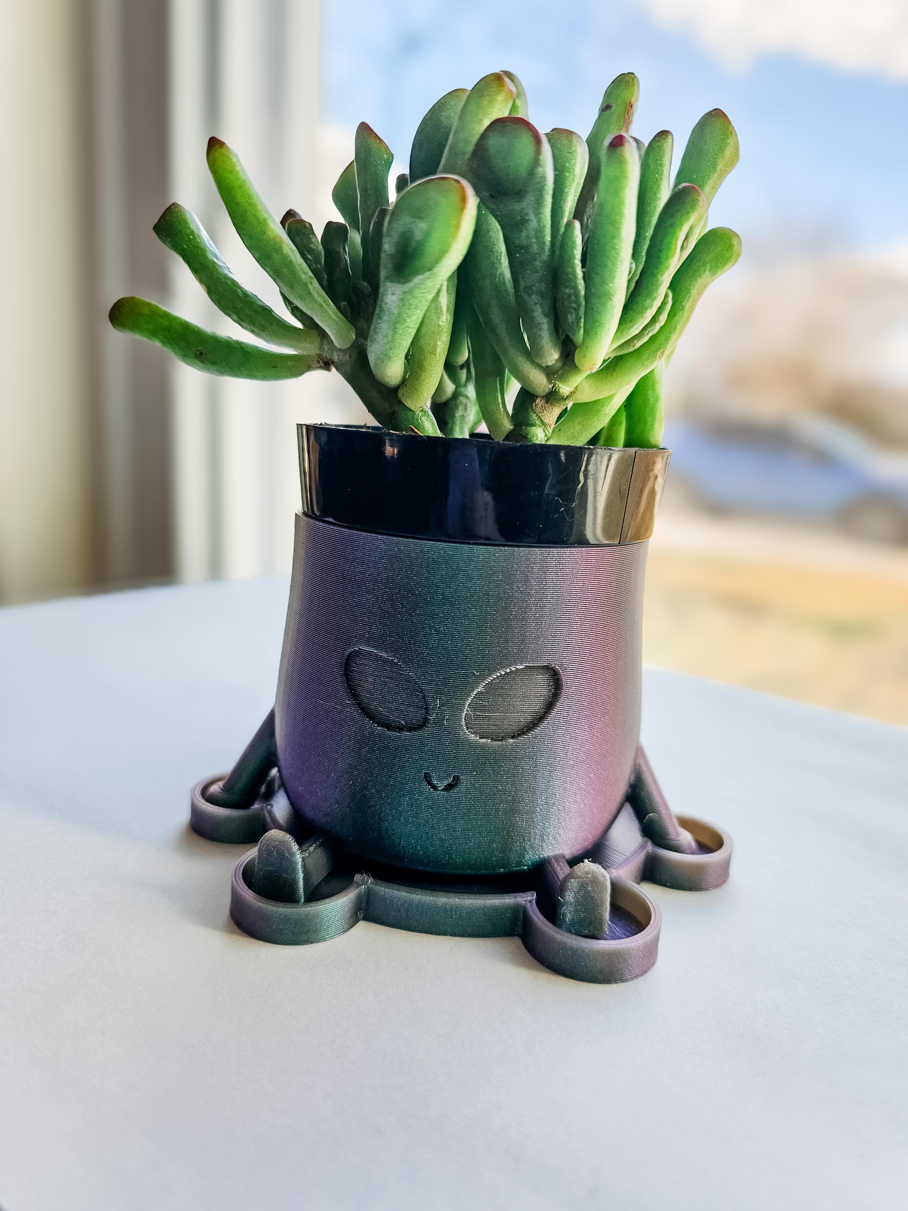 Alien Big Booty Planters 3d model