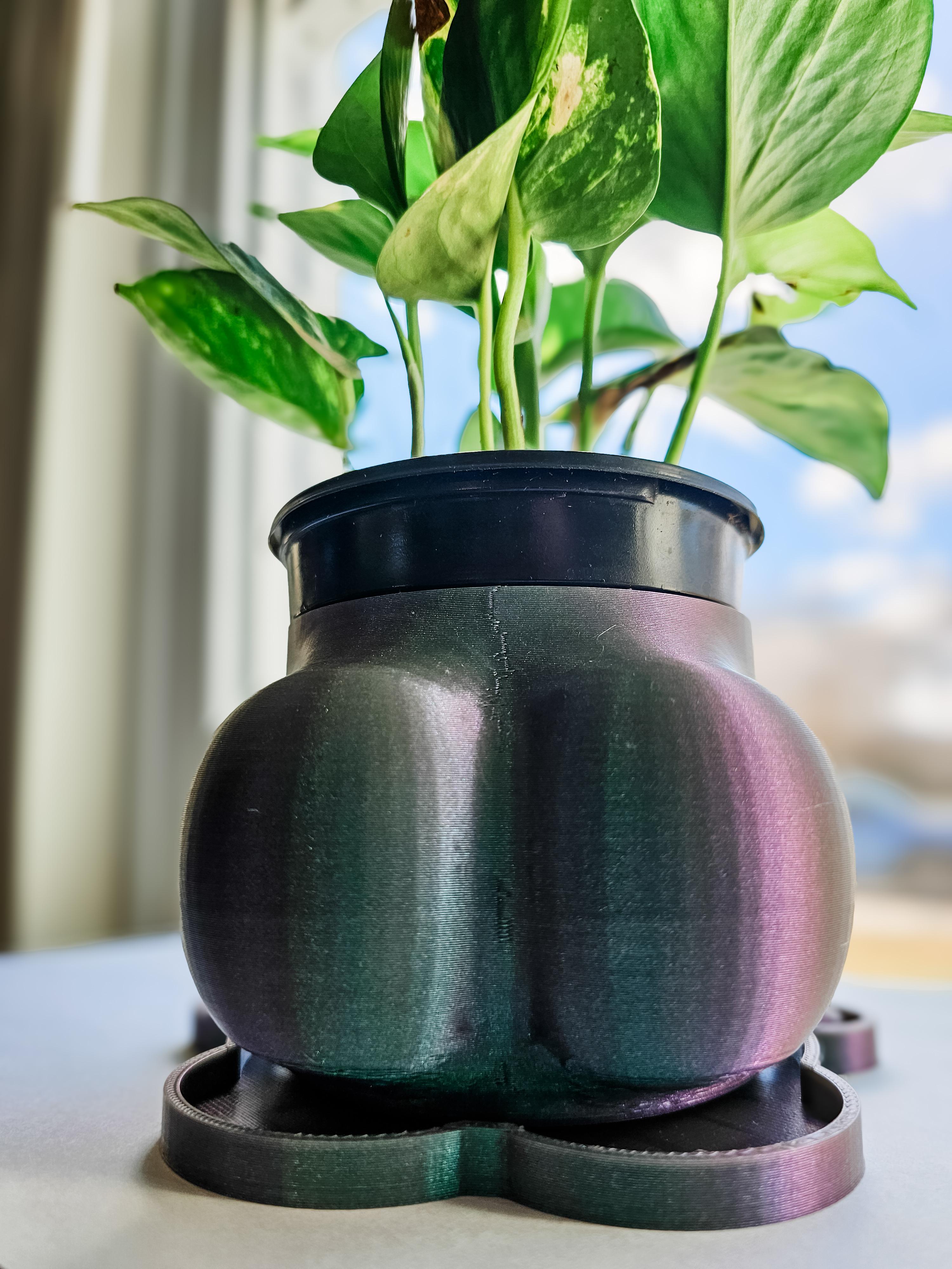 Alien Big Booty Planters 3d model