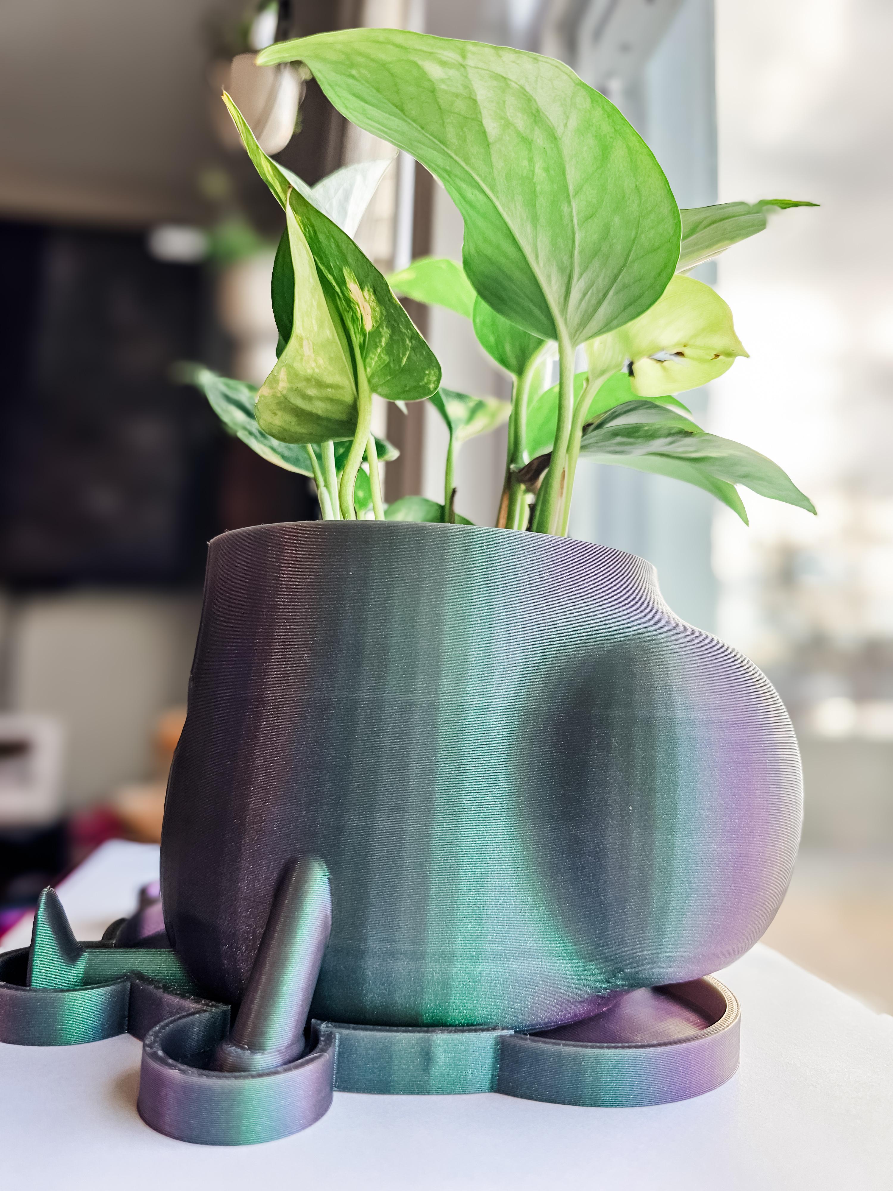 Alien Big Booty Planters 3d model