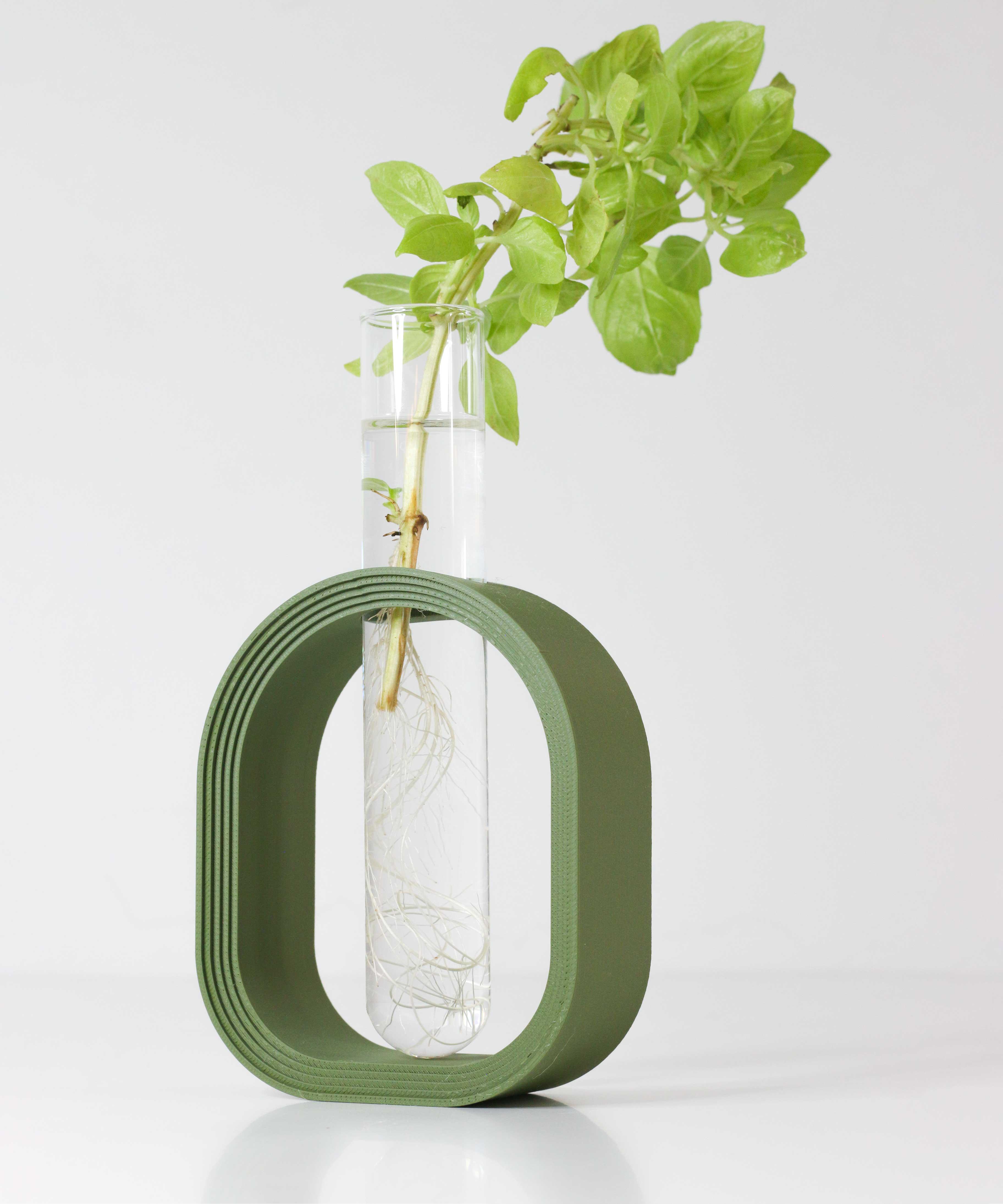 MODERN PLANT PROPAGATION HOLDER: GLASS TUBE STAND FOR EASY GROWTH 3d model