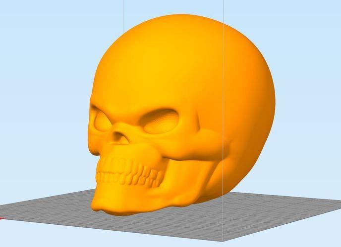 Martian Skull 3d model