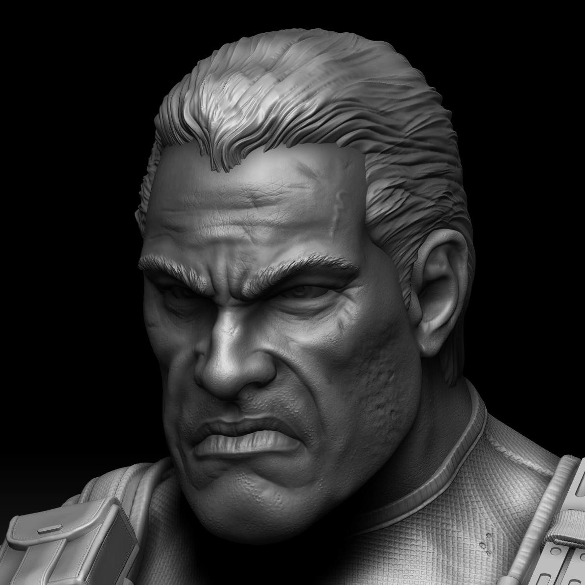 The Punisher Bust (Pre-Supported) 3d model