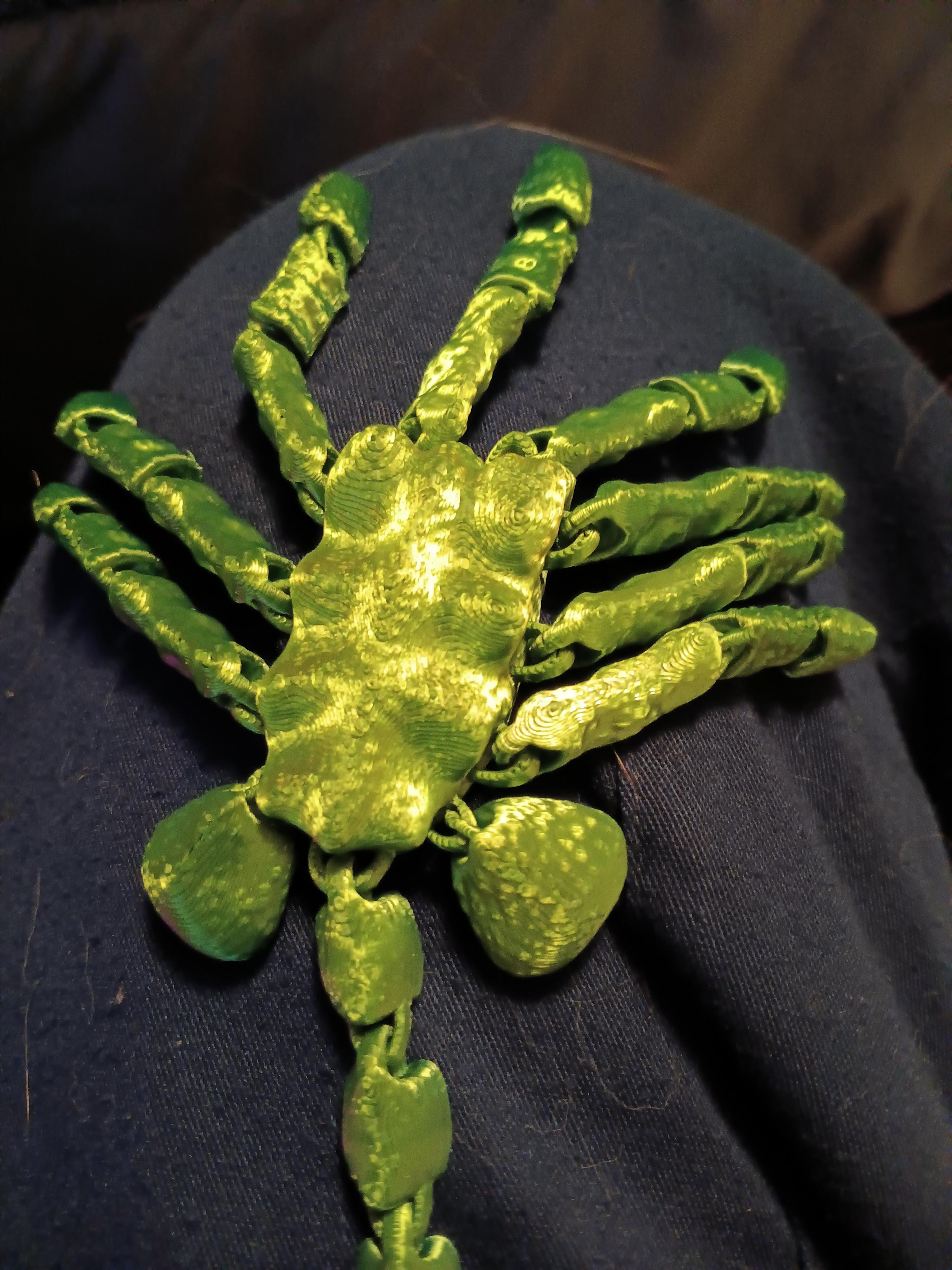 Articulated Facehugger - Flexi Fidget toy - print in place Higher Texture version 3d model