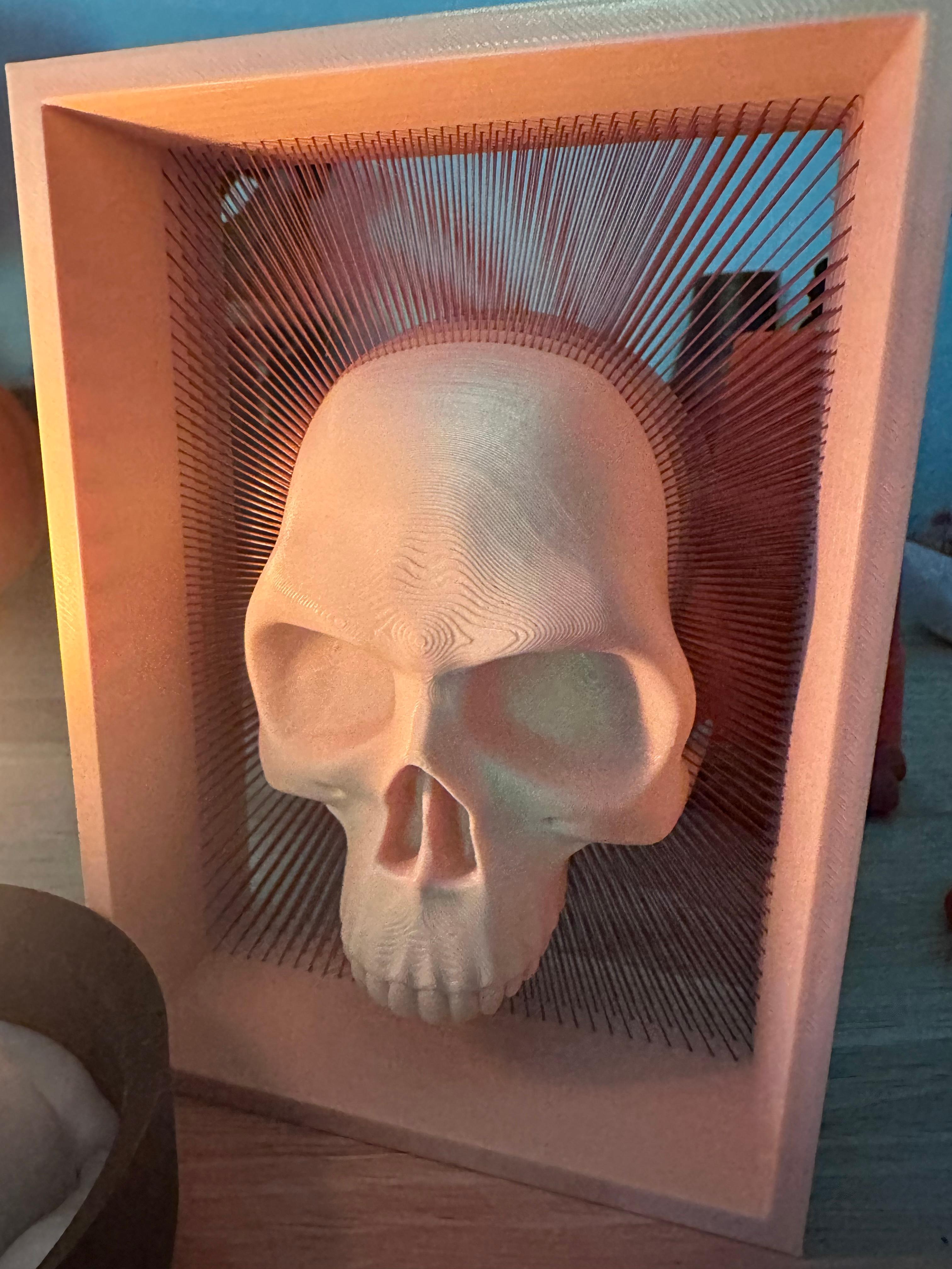 SPOOKY SKULL SHADOW BOX - STRING MODEL 3d model