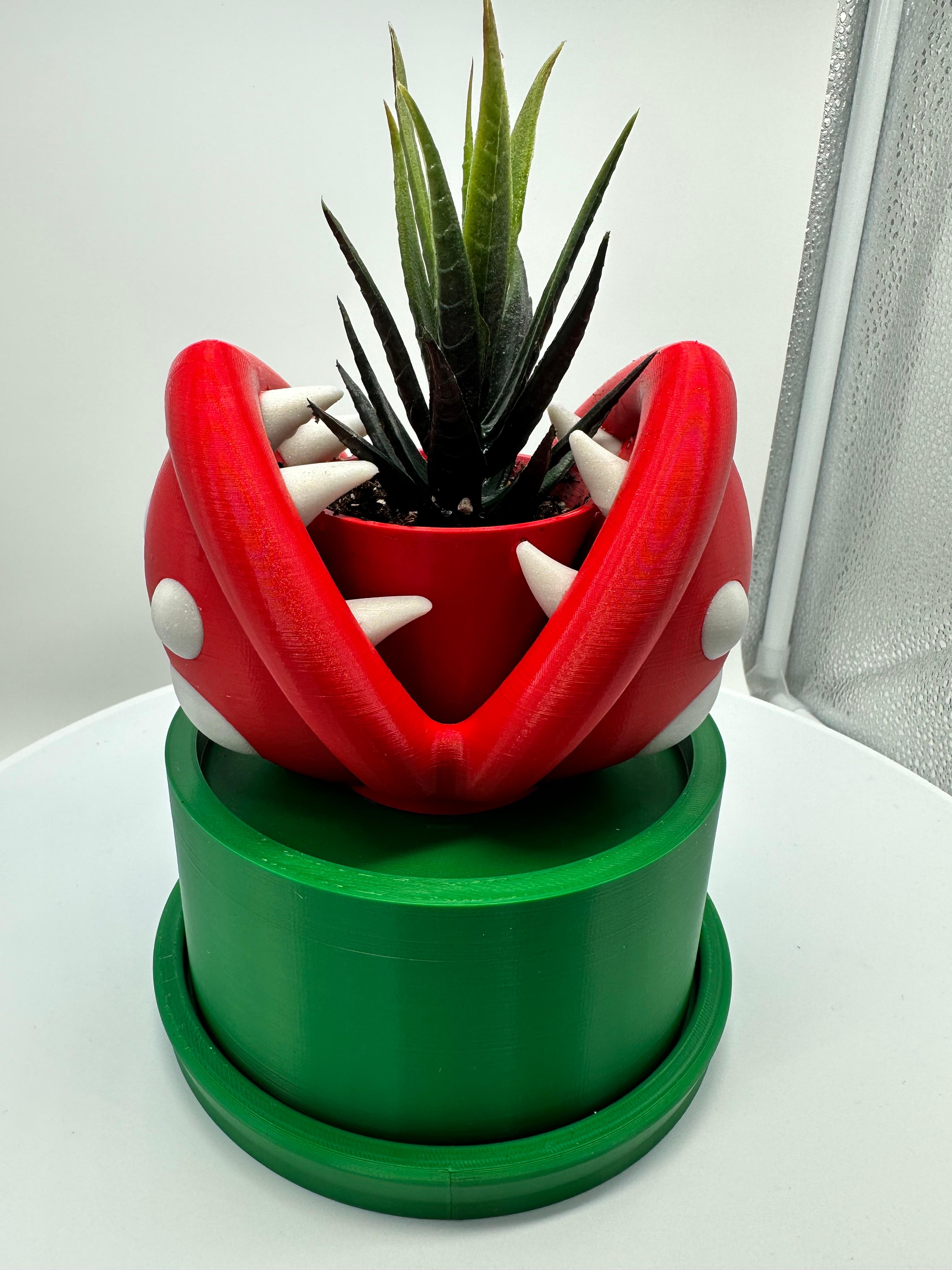 Mario Piranha Succulent or Plant Pot 3d model