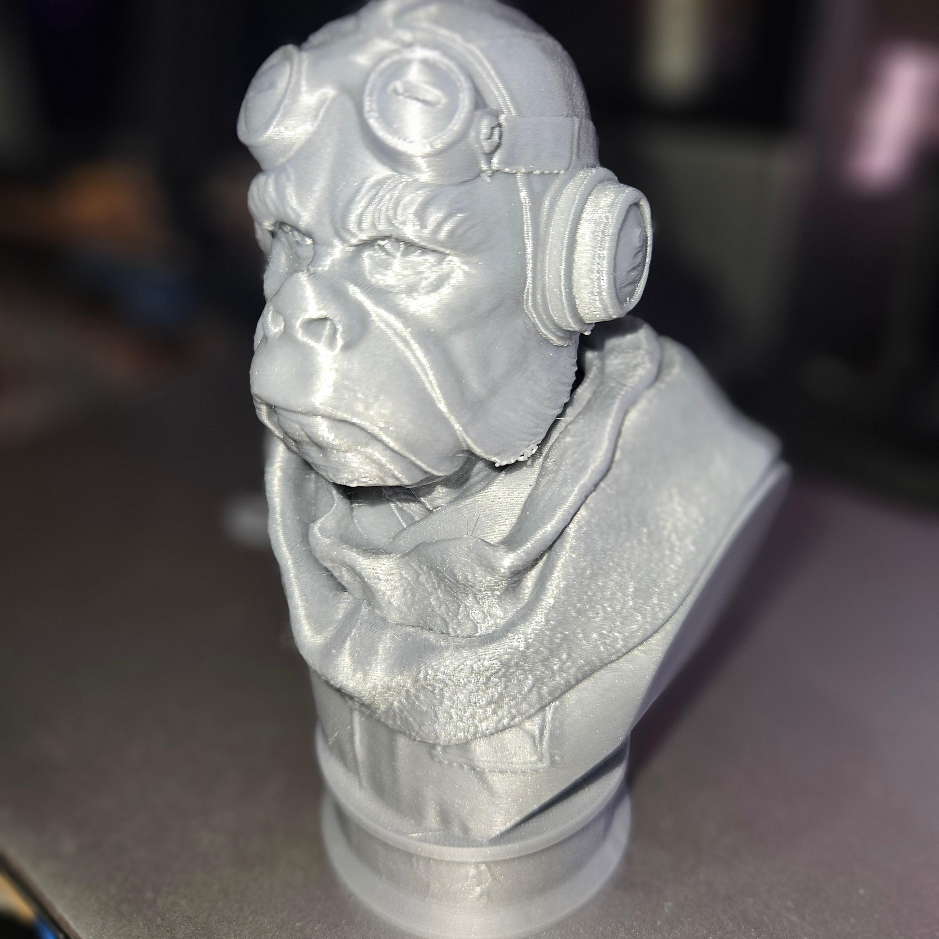 Kuiil Bust (Pre-Supported) - wonderful model - 3d model