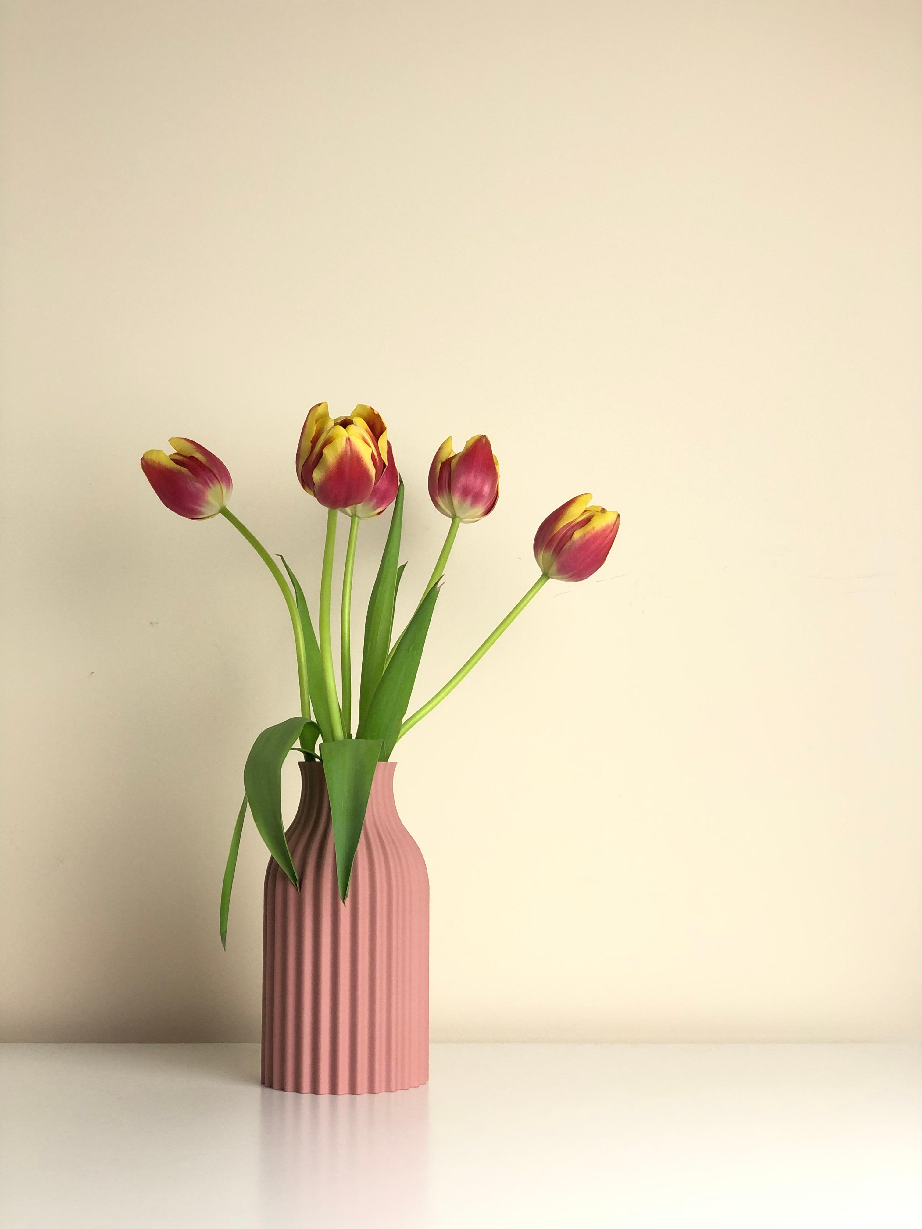 Modern Indoor Vase - Artemis 3d model