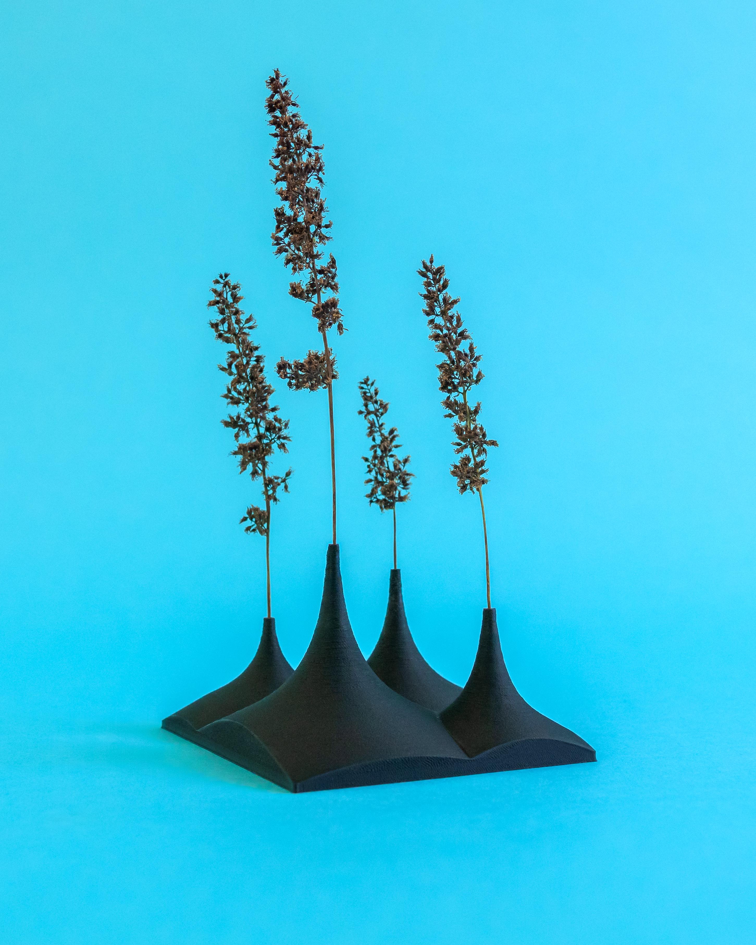 **FREEBIE** Little Twig Forest // Dried Plant Holder 3d model