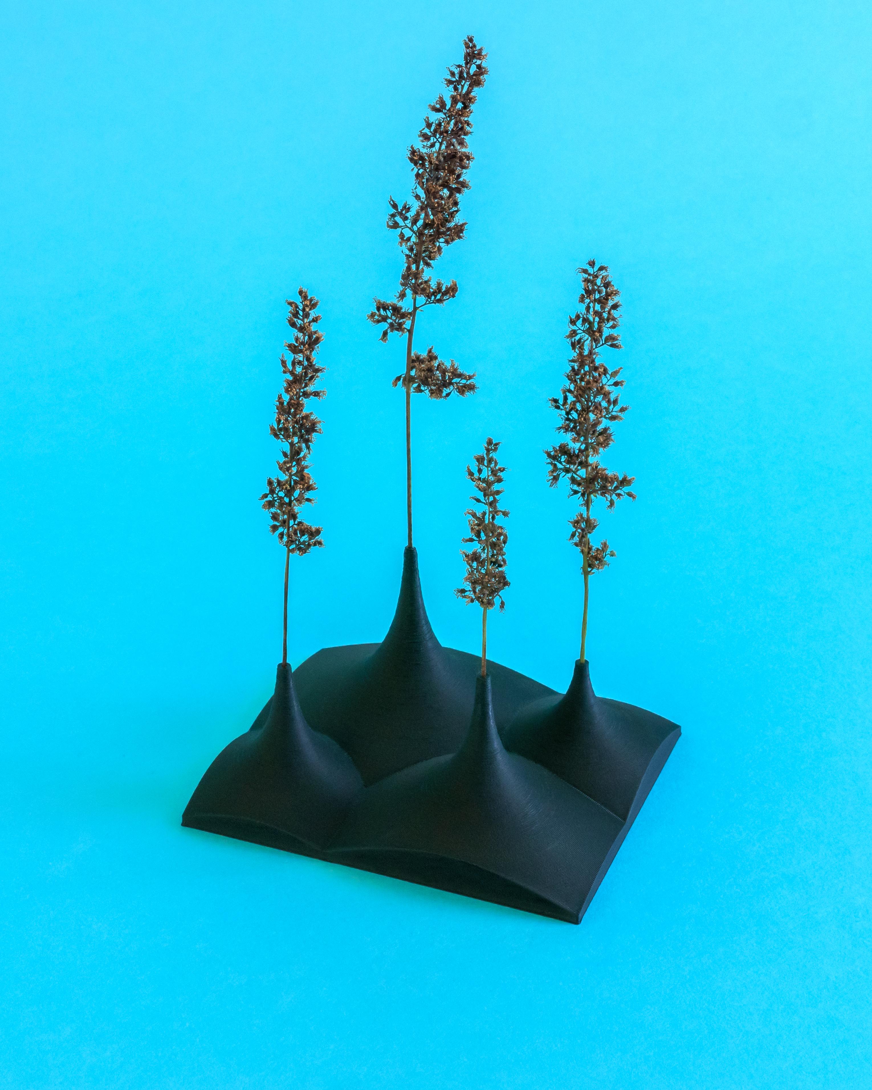 **FREEBIE** Little Twig Forest // Dried Plant Holder 3d model