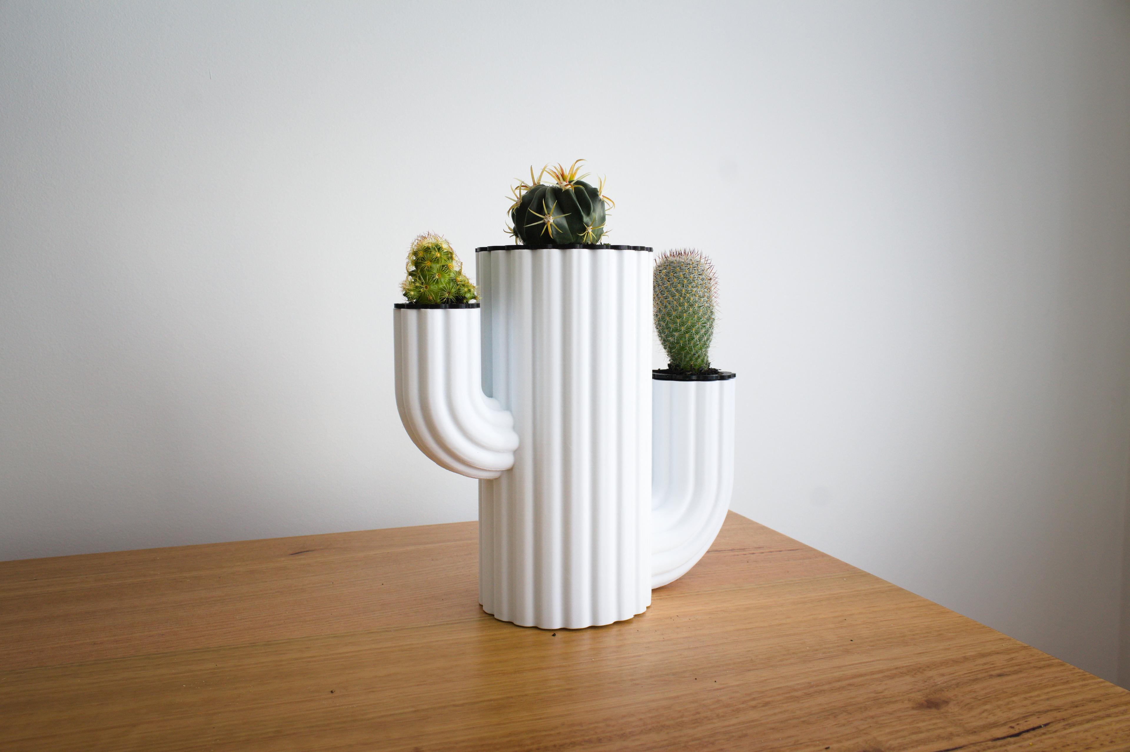 Cactus Planter – Cactus Inception 3d model