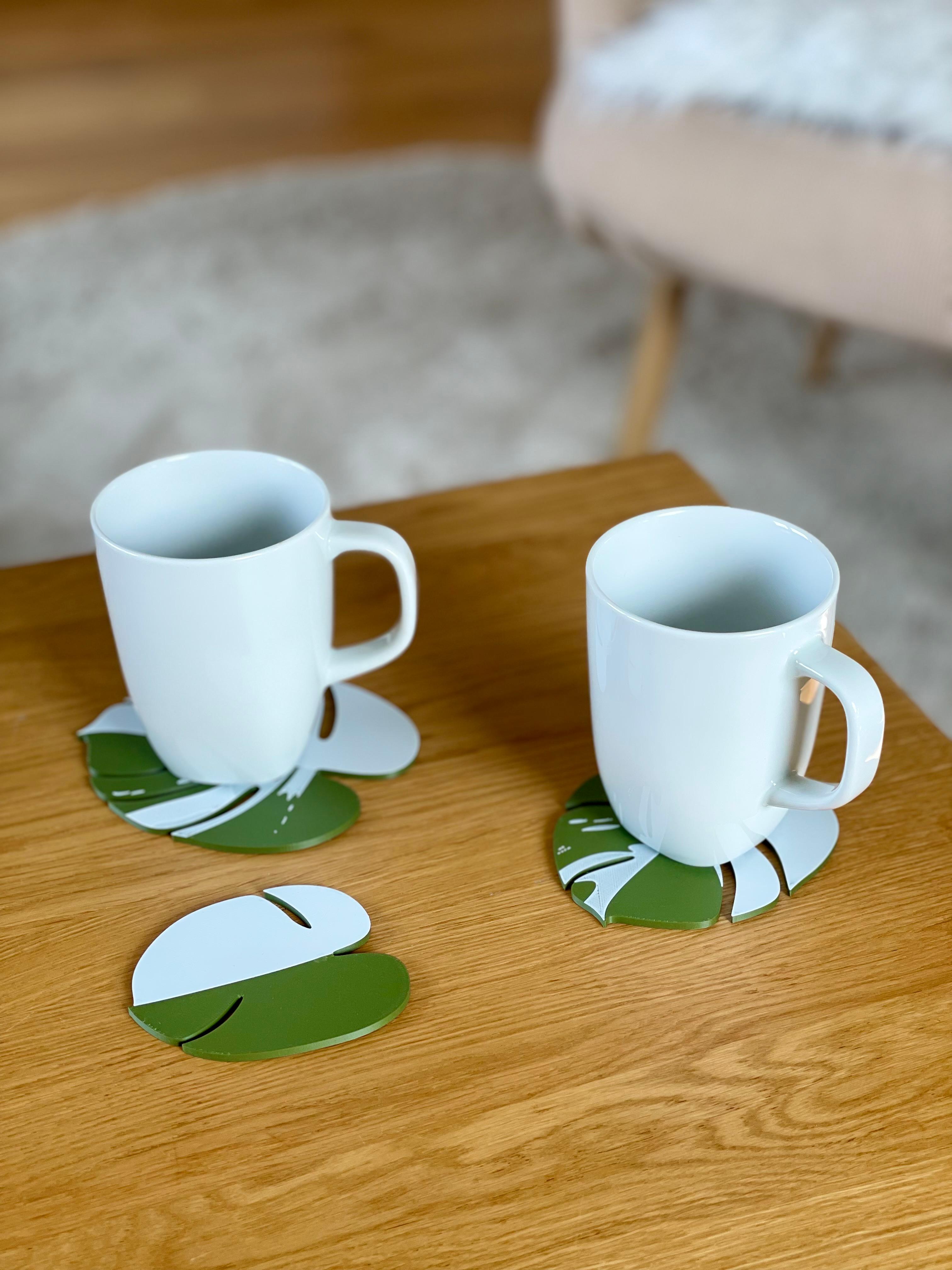 Monstera Coaster Set 3d model