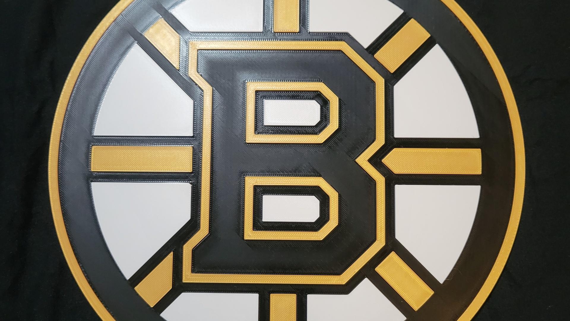 Boston Bruins 3d model