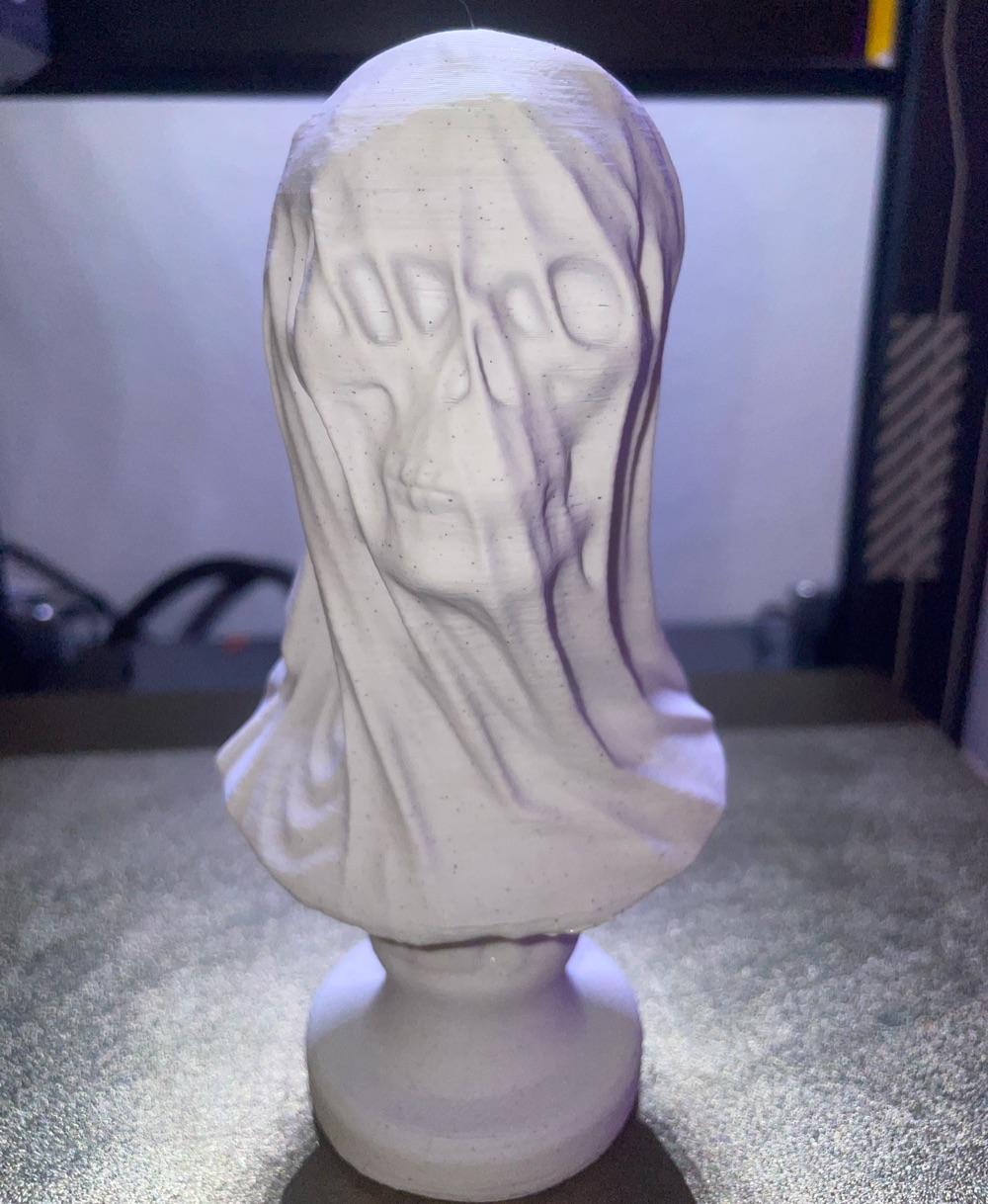 Draped Skull Bust (Pre Supported) - Love it! - 3d model