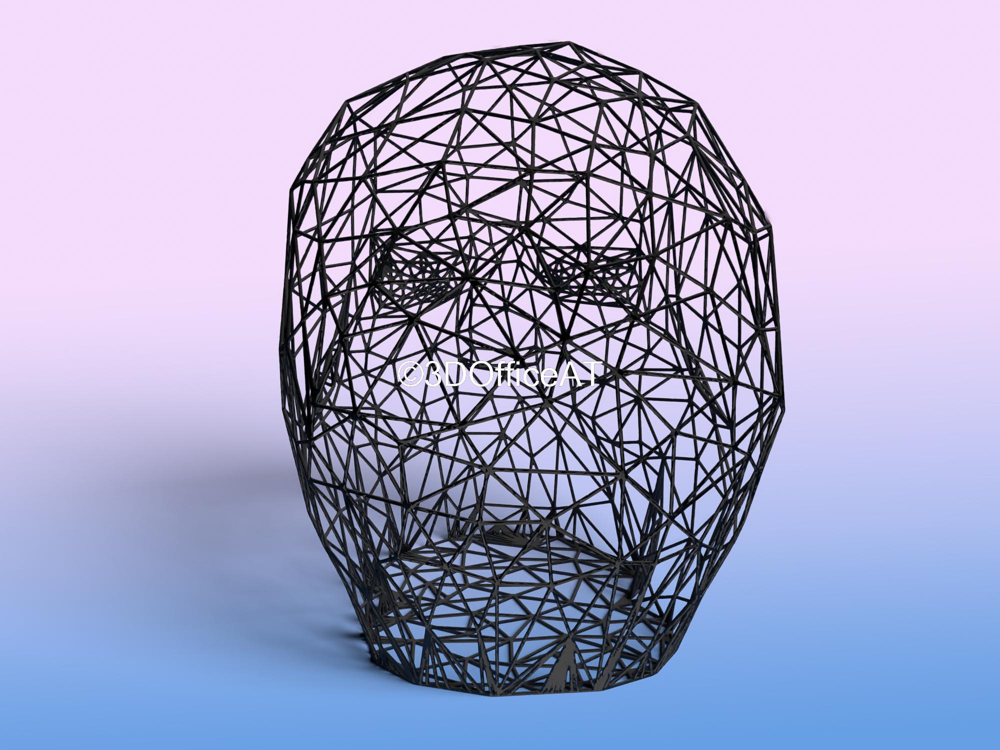 Skull Head Wire Art 3d model