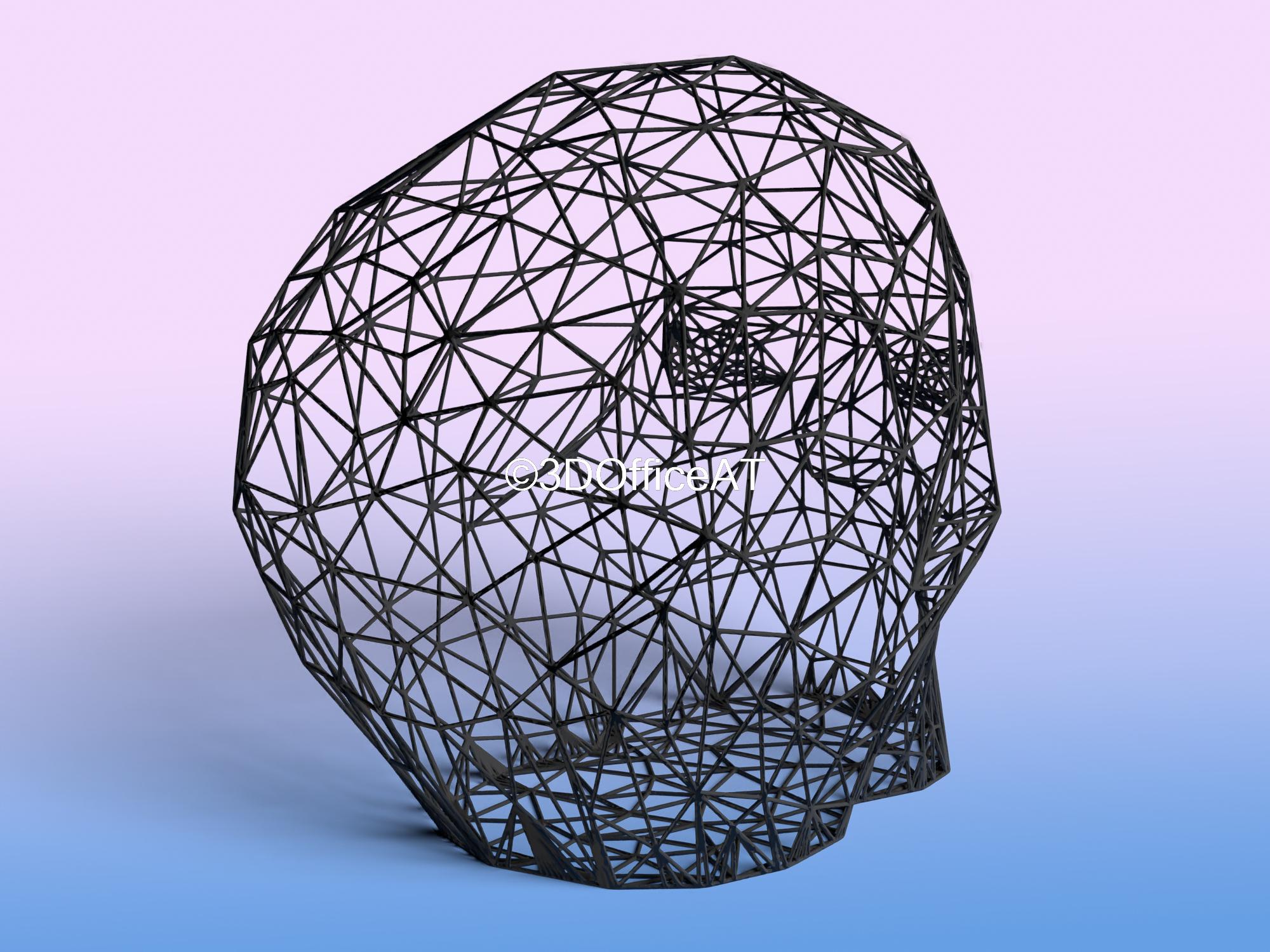 Skull Head Wire Art 3d model