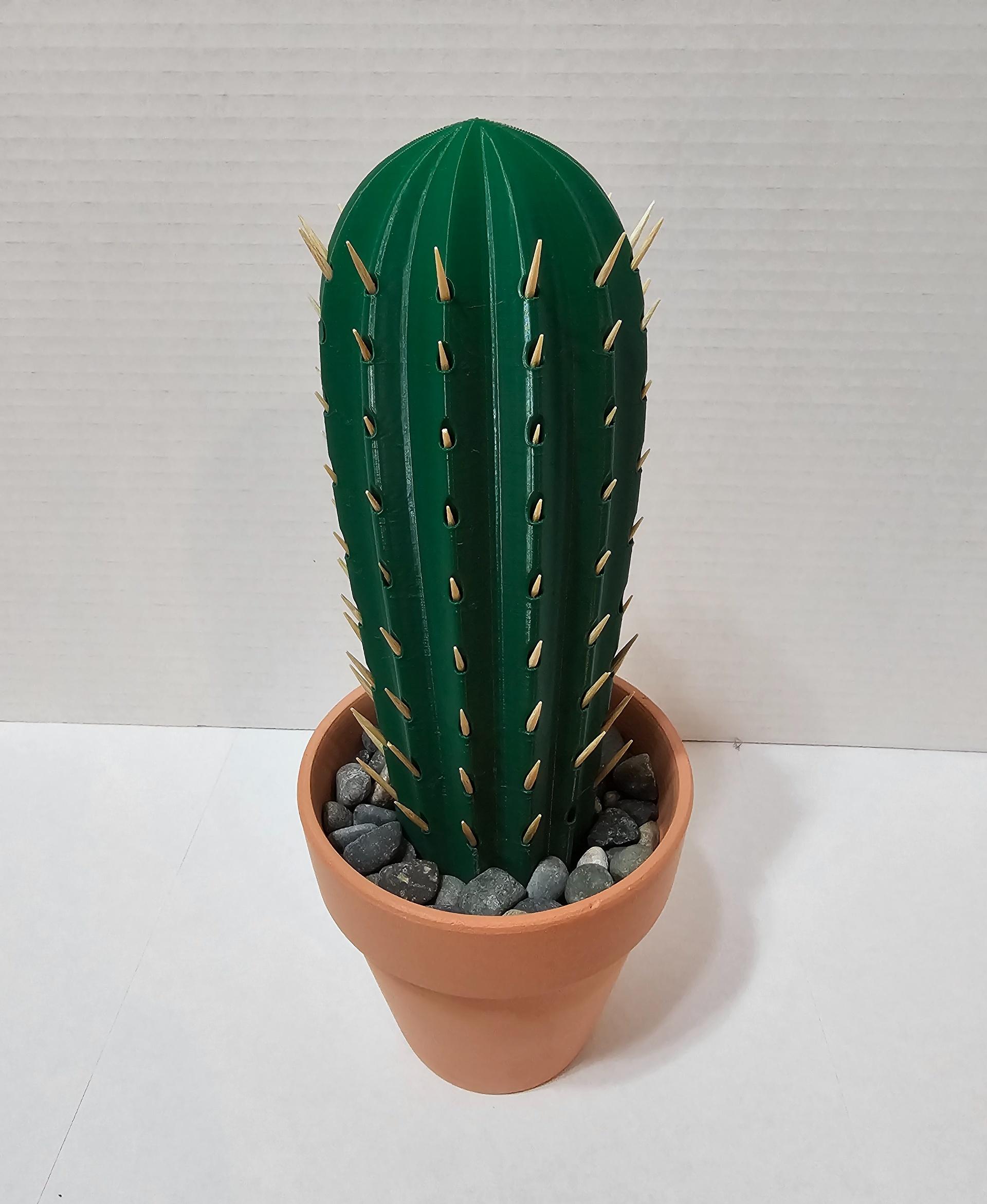 Cactus Toothpick holder 3d model