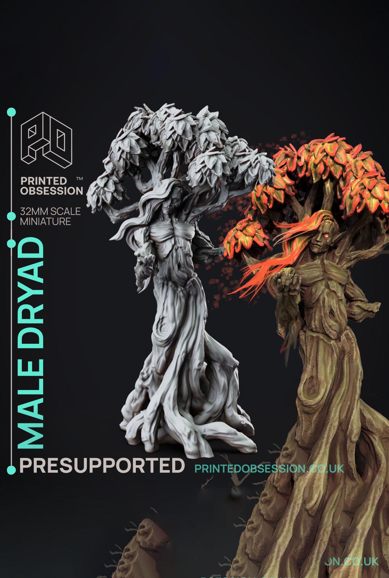 Dryad - Faywild Vs Shadowfell - PRESUPPORTED - Illustrated and Stats - 32mm scale			 3d model