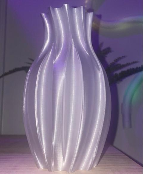 Zephyrus Vase.stl 3d model