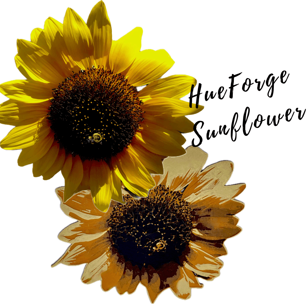 HueForge Sunflower  3d model