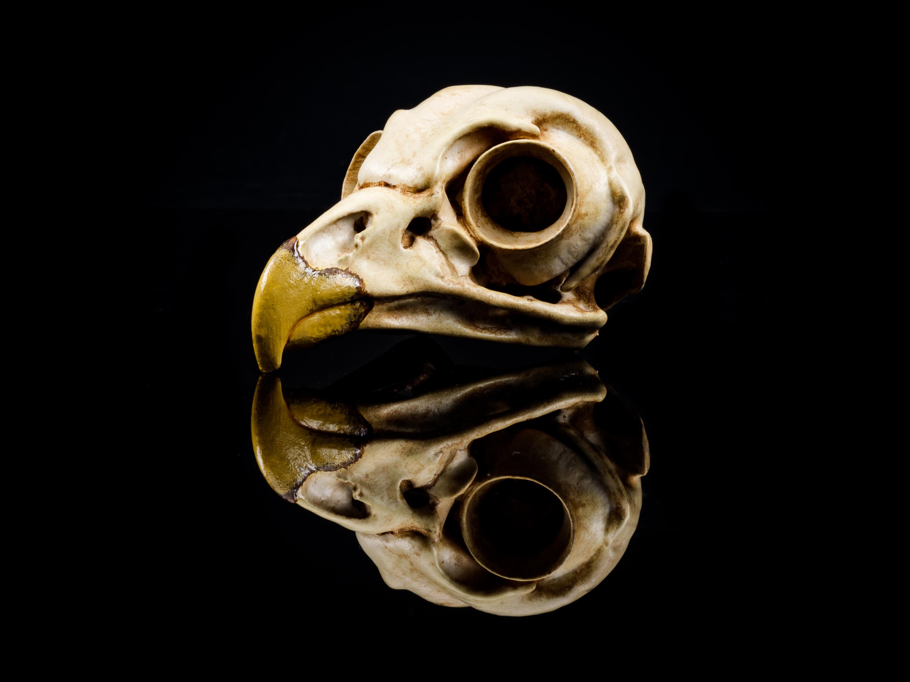 Barred Owl Skull (Pre Supported) 3d model