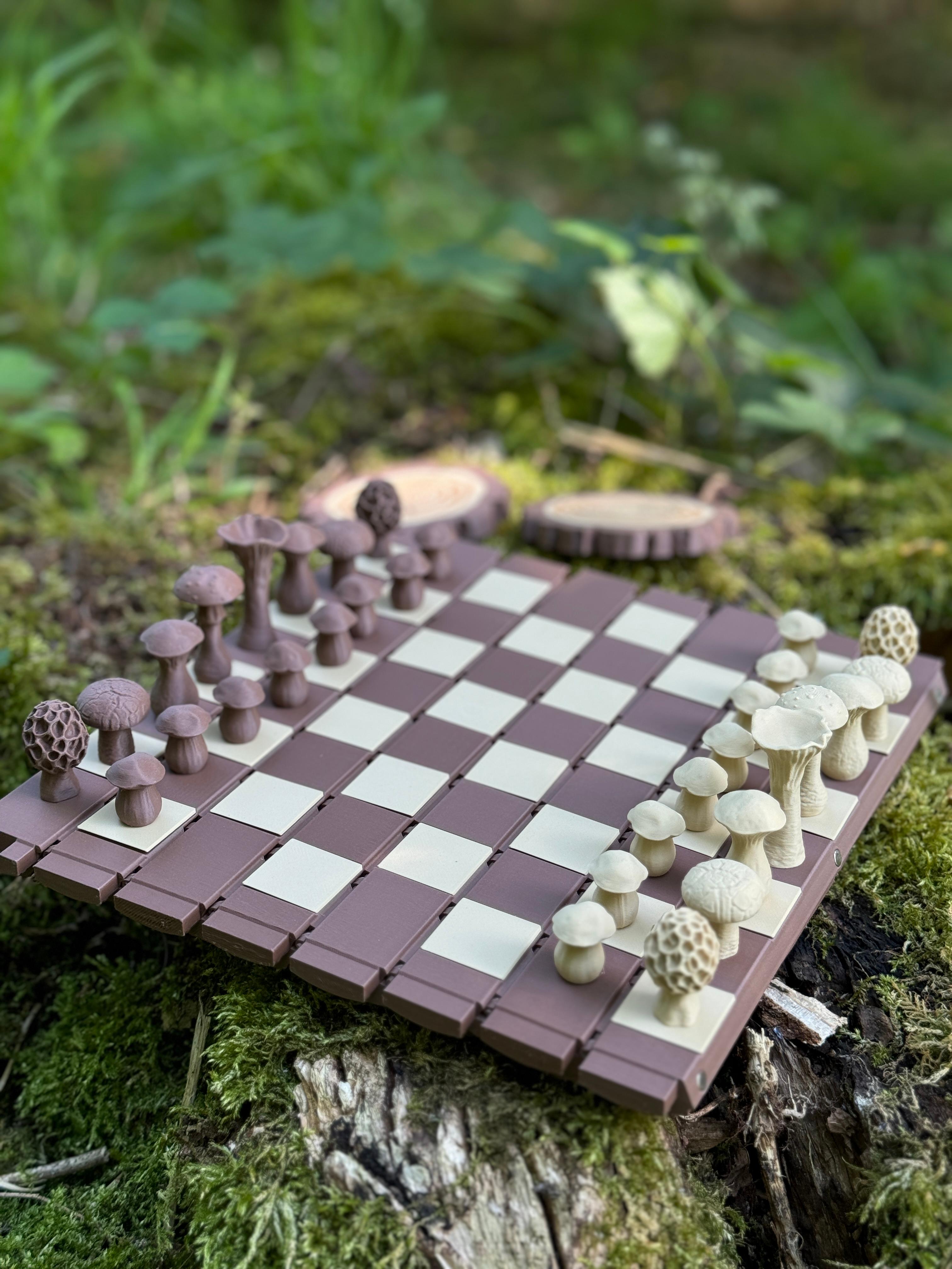 Forest Chess Set  - Amazing log that turns into a chessboard ! - 3d model