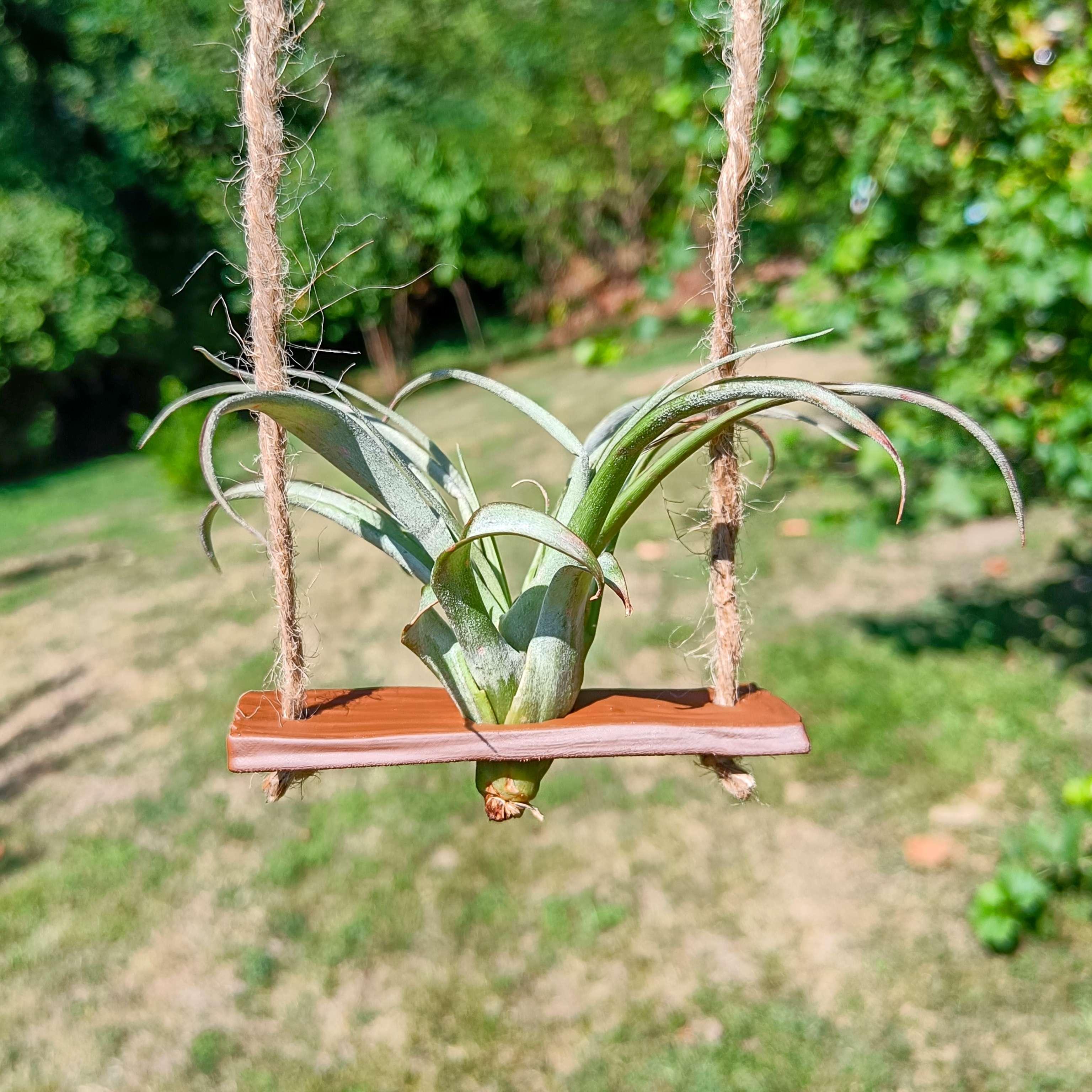 Air plant swing support  3d model