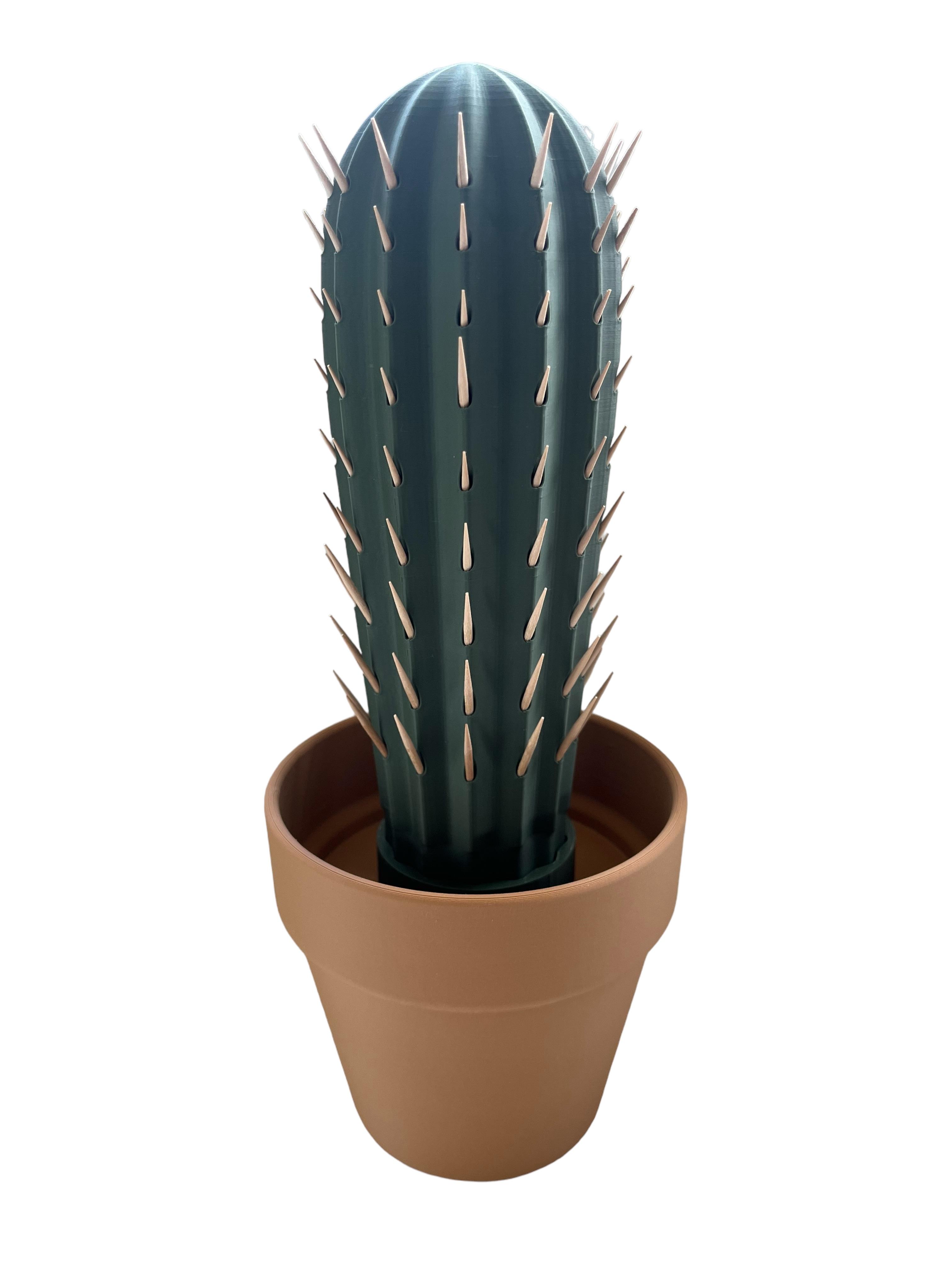 Cactus Toothpick holder 3d model