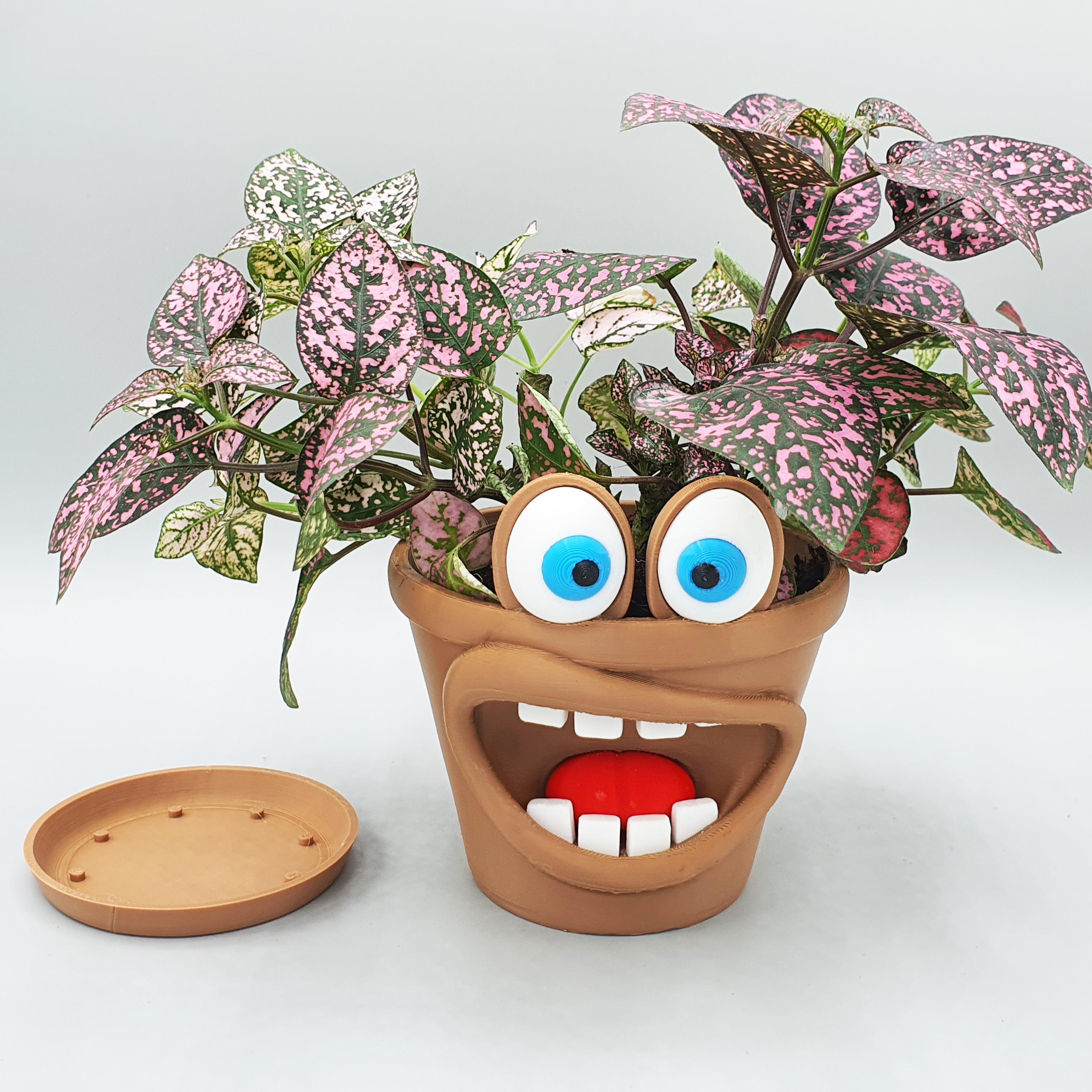 Funny Planter Pot- Chomper Pot 3d model