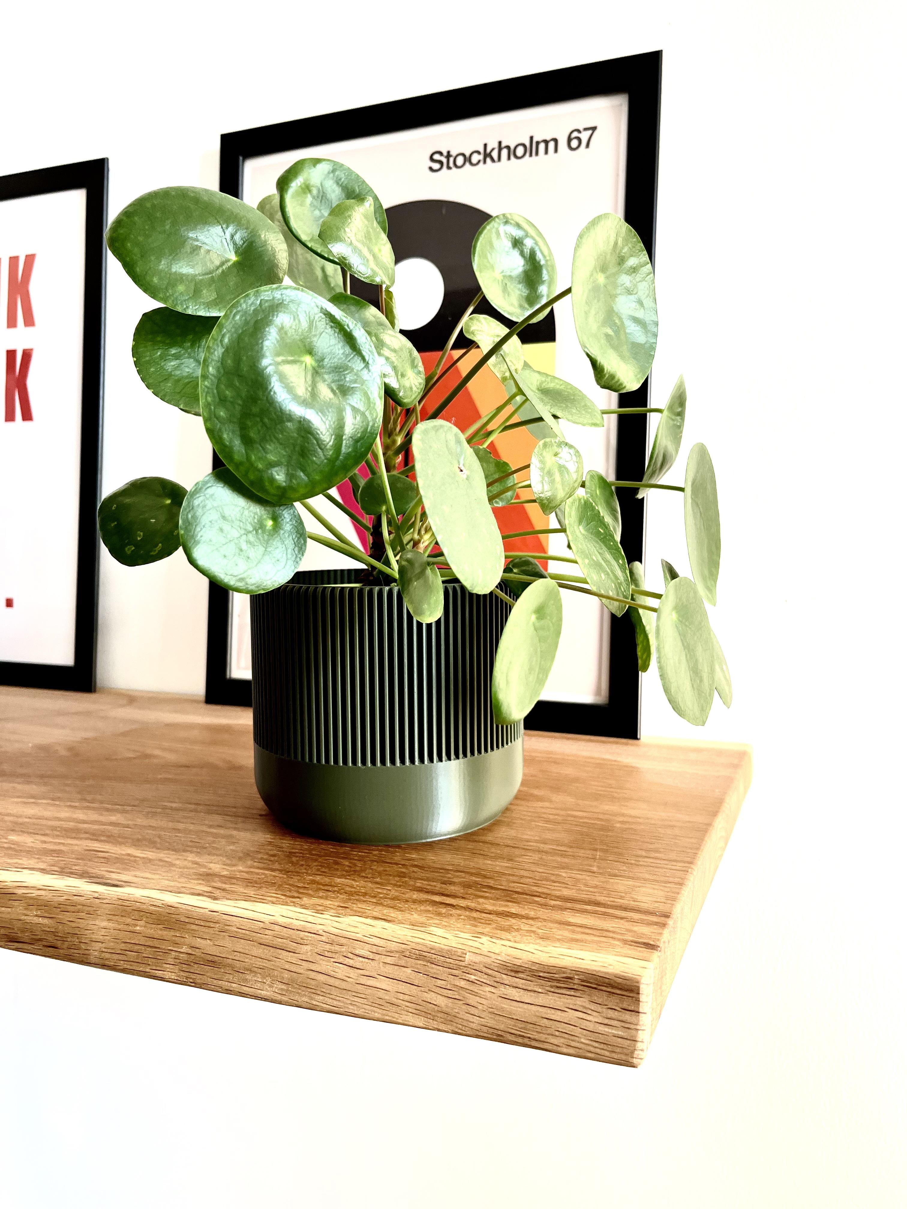 Basic Mid century modern planter 3d model