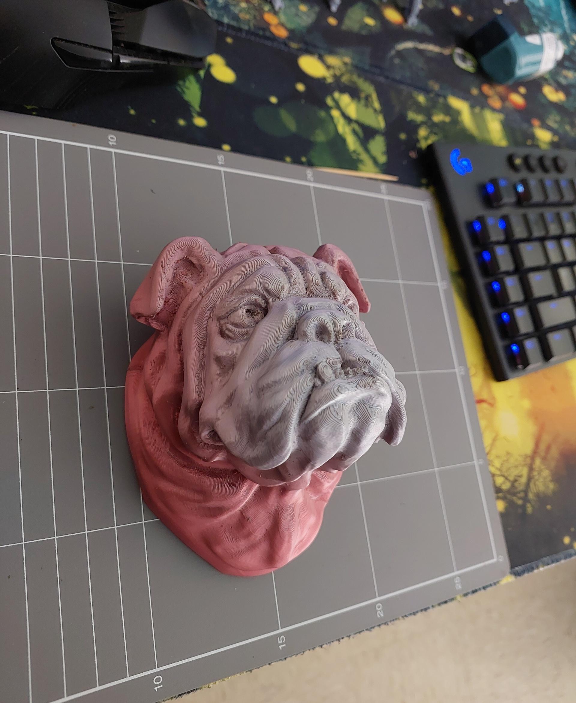 Bulldog - Wall Decoration 3d model