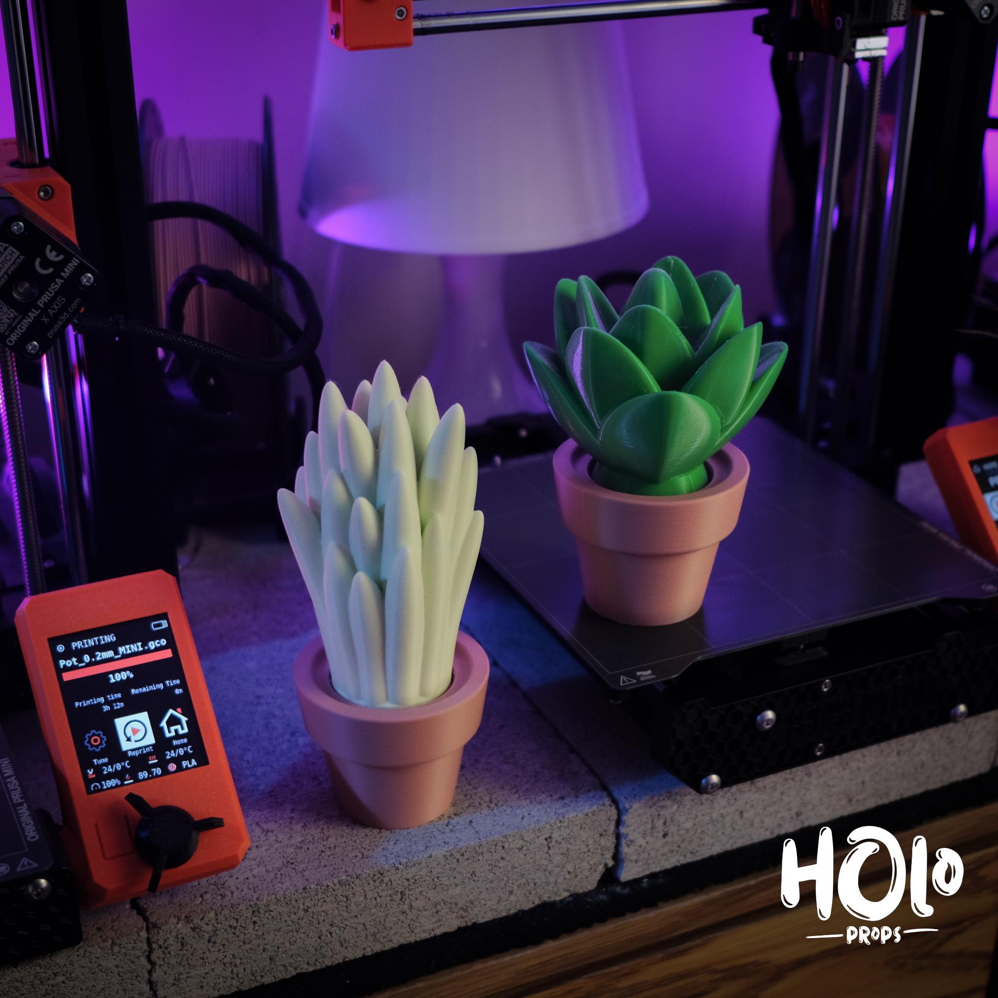 Cute Cactus Home Decor - Print in Place - Holoprops 3d model