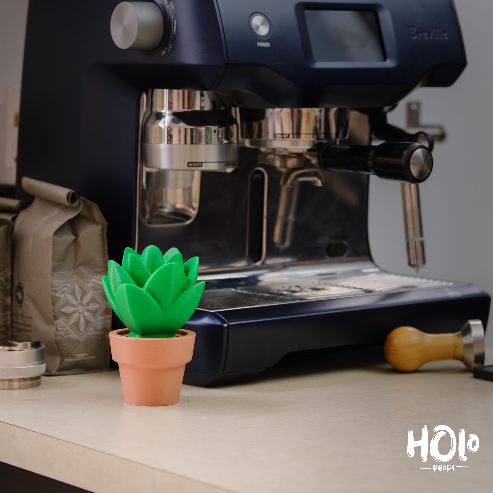 Cute Cactus Home Decor - Print in Place - Holoprops 3d model