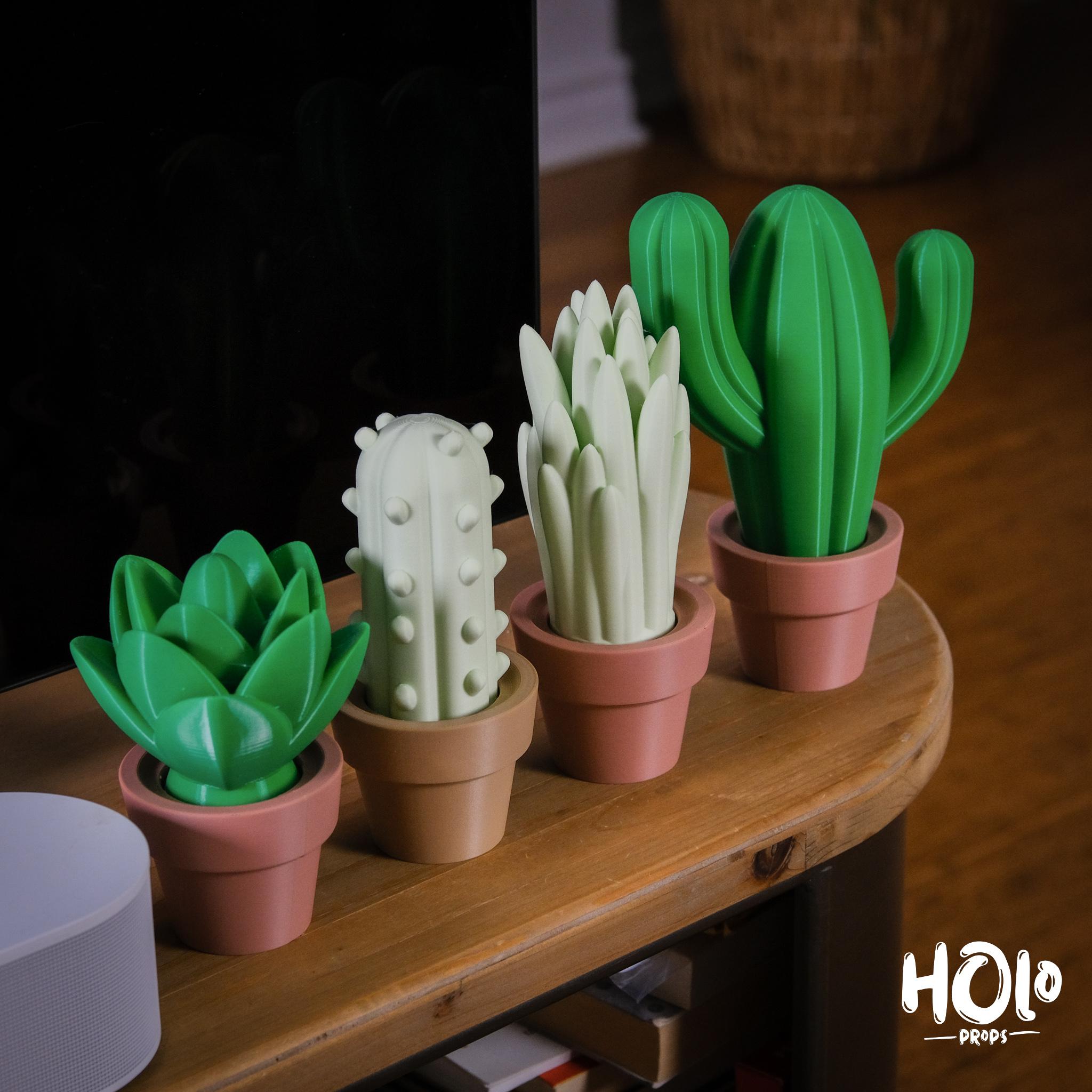 Cute Cactus Home Decor - Print in Place - Holoprops 3d model