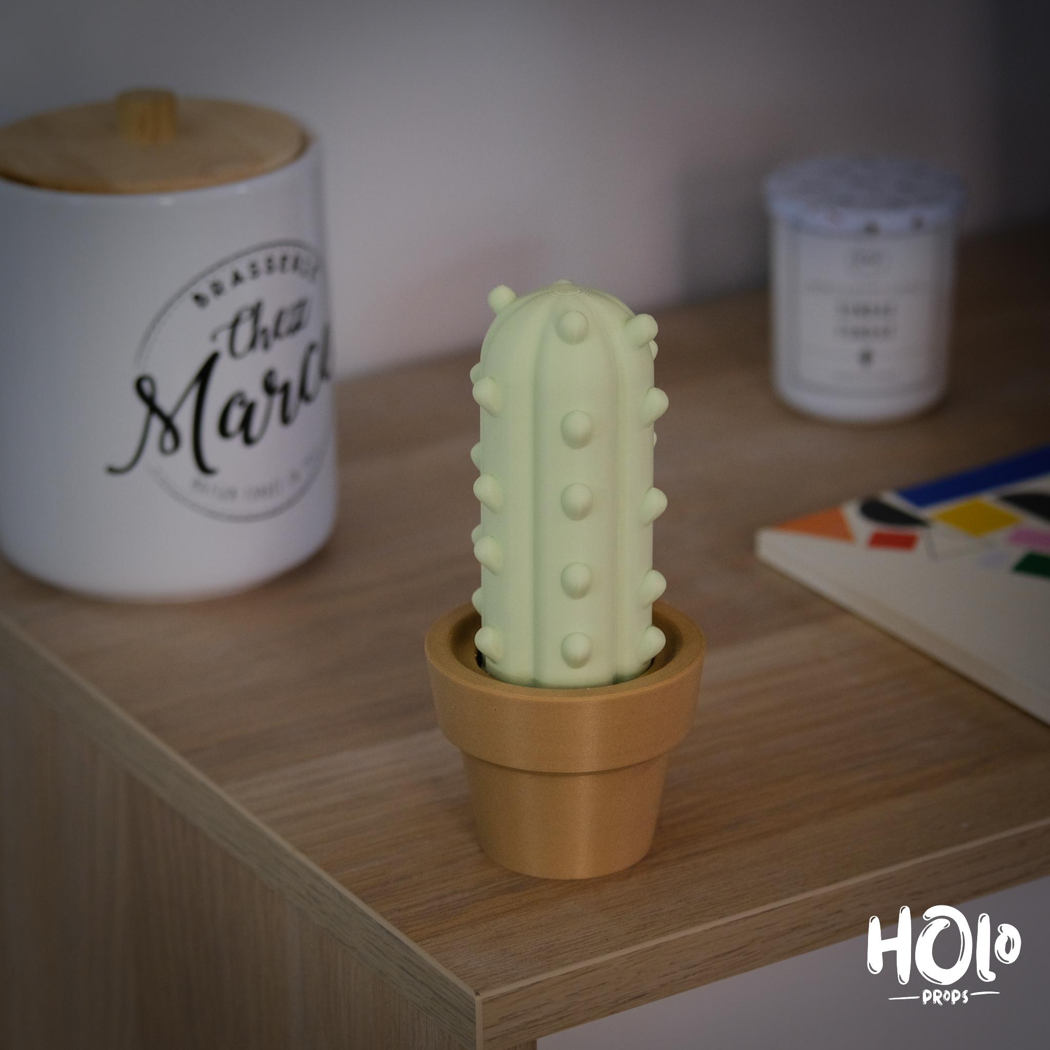 Cute Cactus Home Decor - Print in Place - Holoprops 3d model