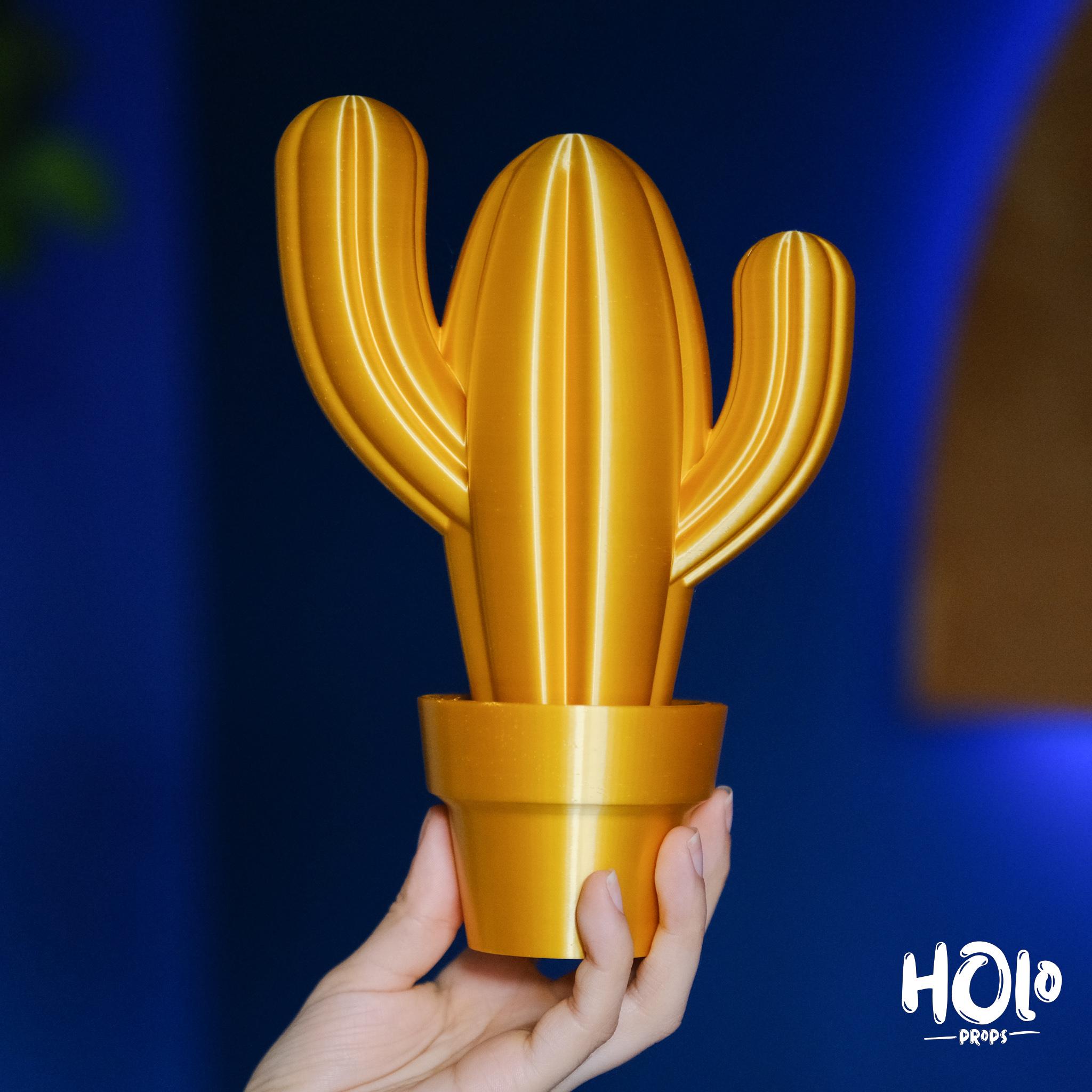 Cute Cactus Home Decor - Print in Place - Holoprops 3d model