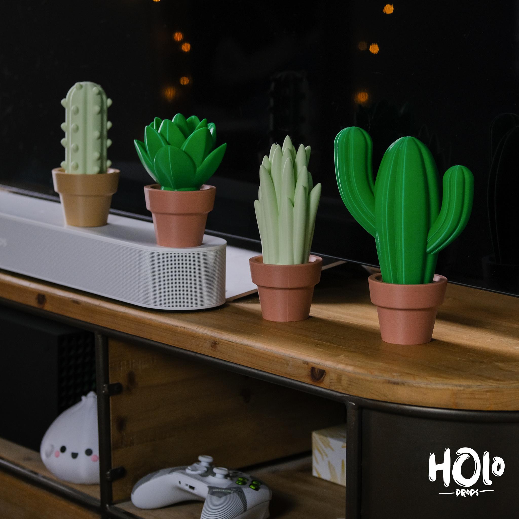 Cute Cactus Home Decor - Print in Place - Holoprops 3d model