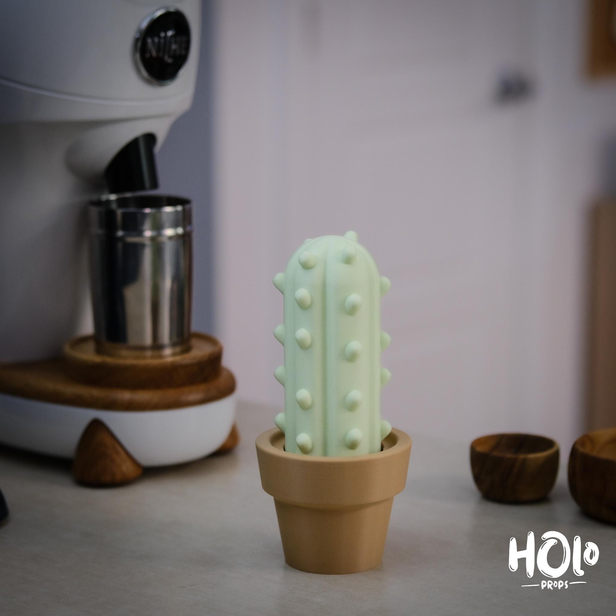 Cute Cactus Home Decor - Print in Place - Holoprops 3d model