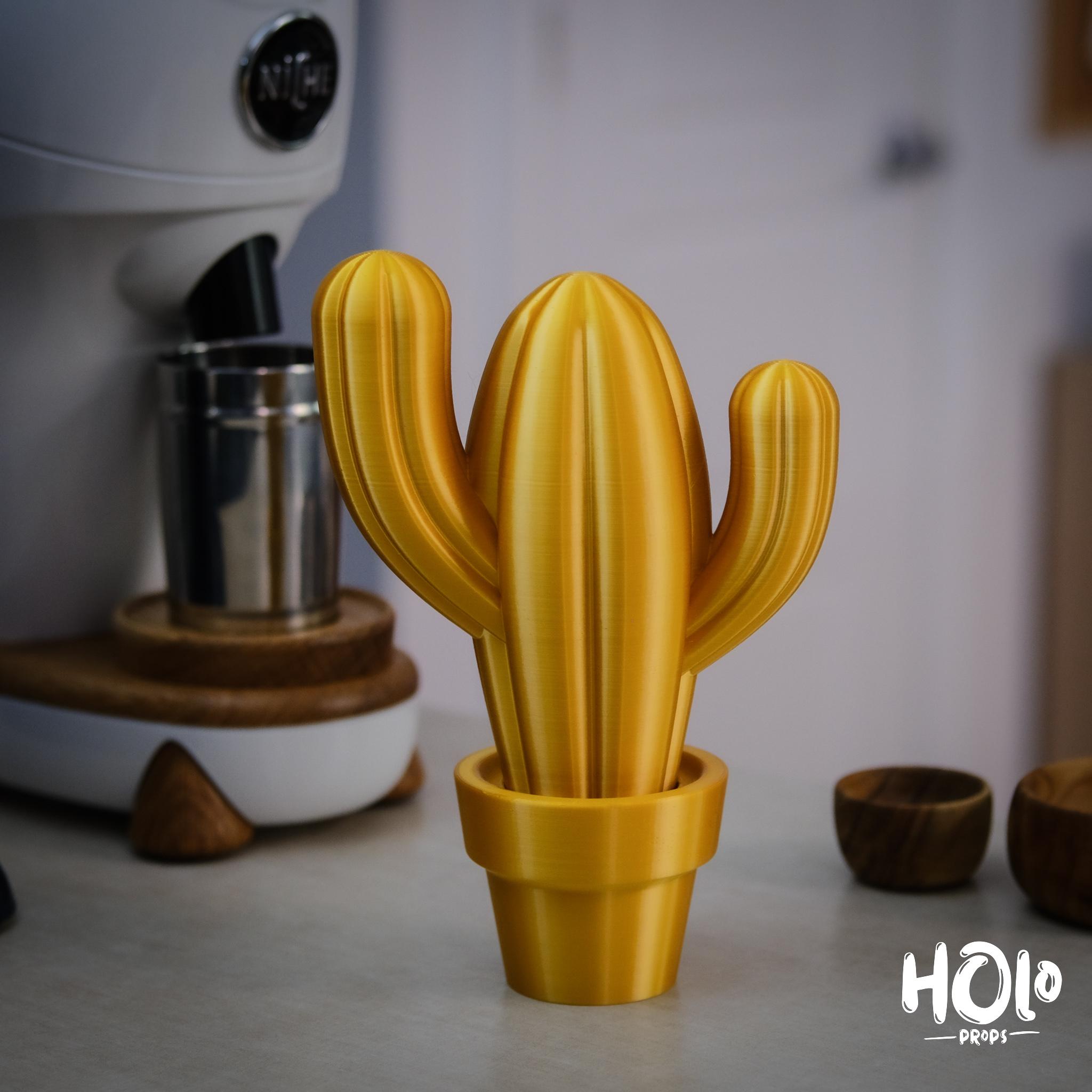 Cute Cactus Home Decor - Print in Place - Holoprops 3d model