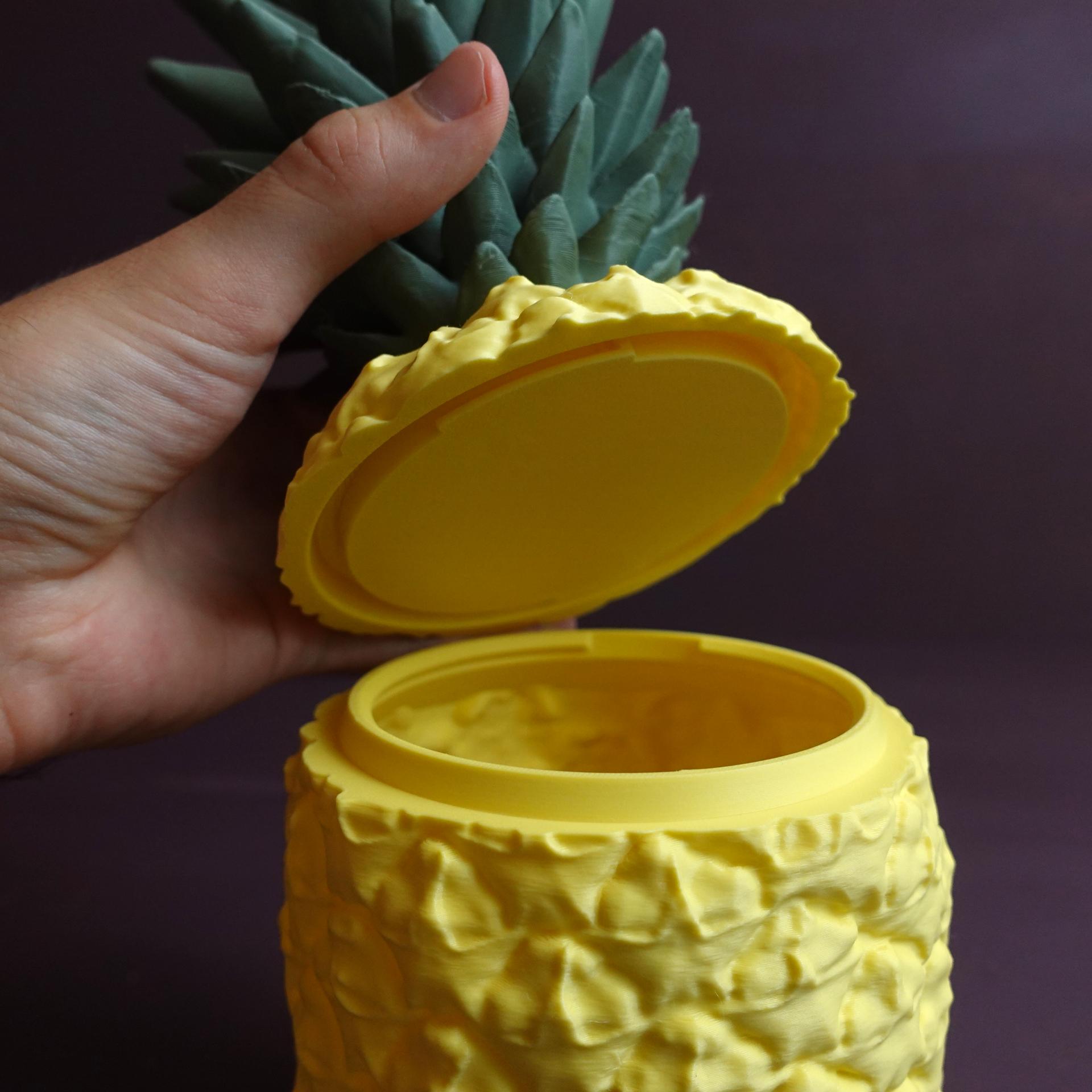 Sliced Ananas 3d model